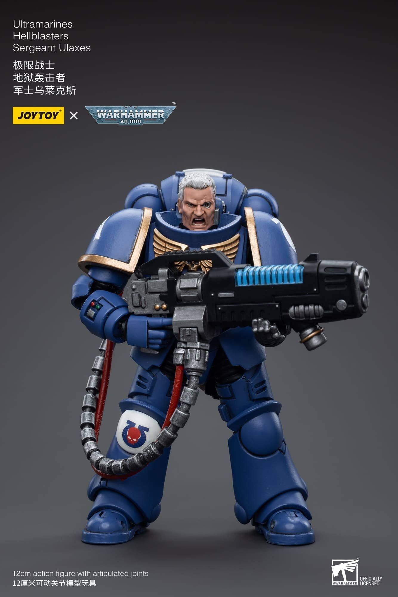 Joytoy: Ultramarines Hellblasters Sergeant Ulaxes