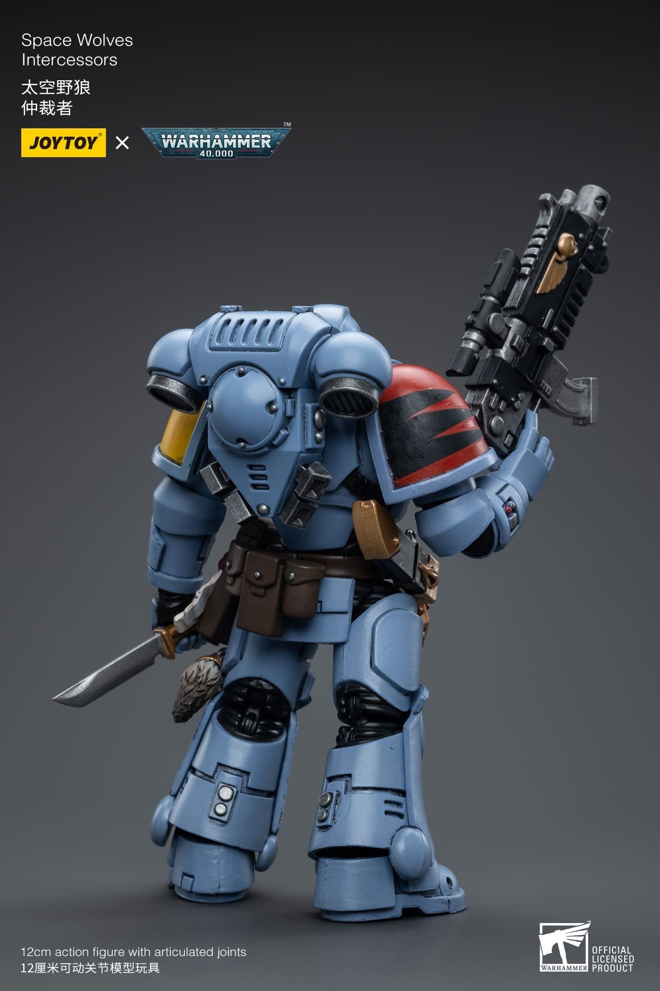 Joytoy: Space Wolves Intercessors