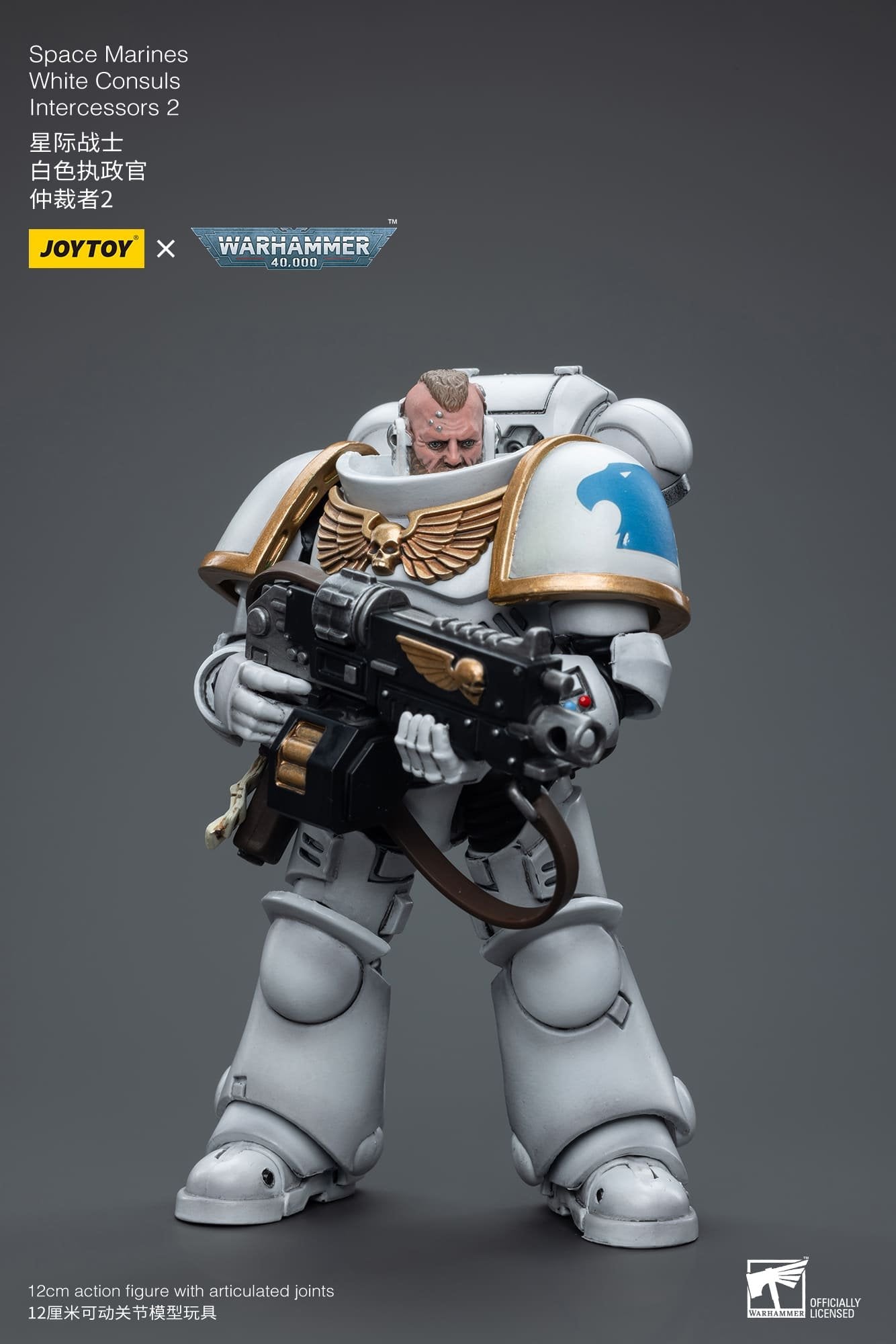 Joytoy: Space Marines White Consuls Intercessors 2