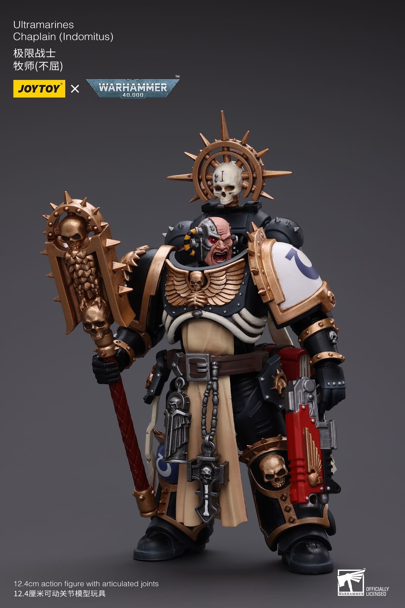 Joytoy:  Ultramarines Chaplain (Indomitus)