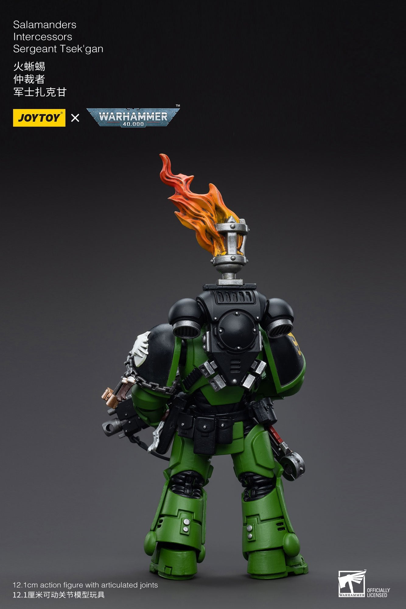 Joytoy: Salamanders Intercessors Sergeant Tsek'gan