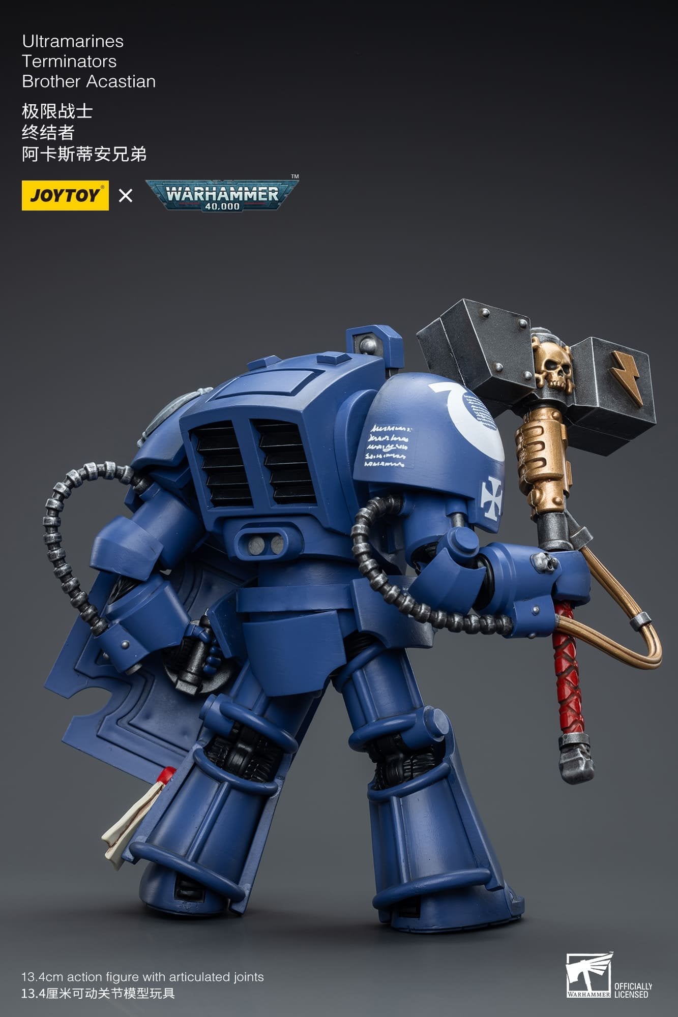 Joytoy: Ultramarines Terminators Brother Acastian