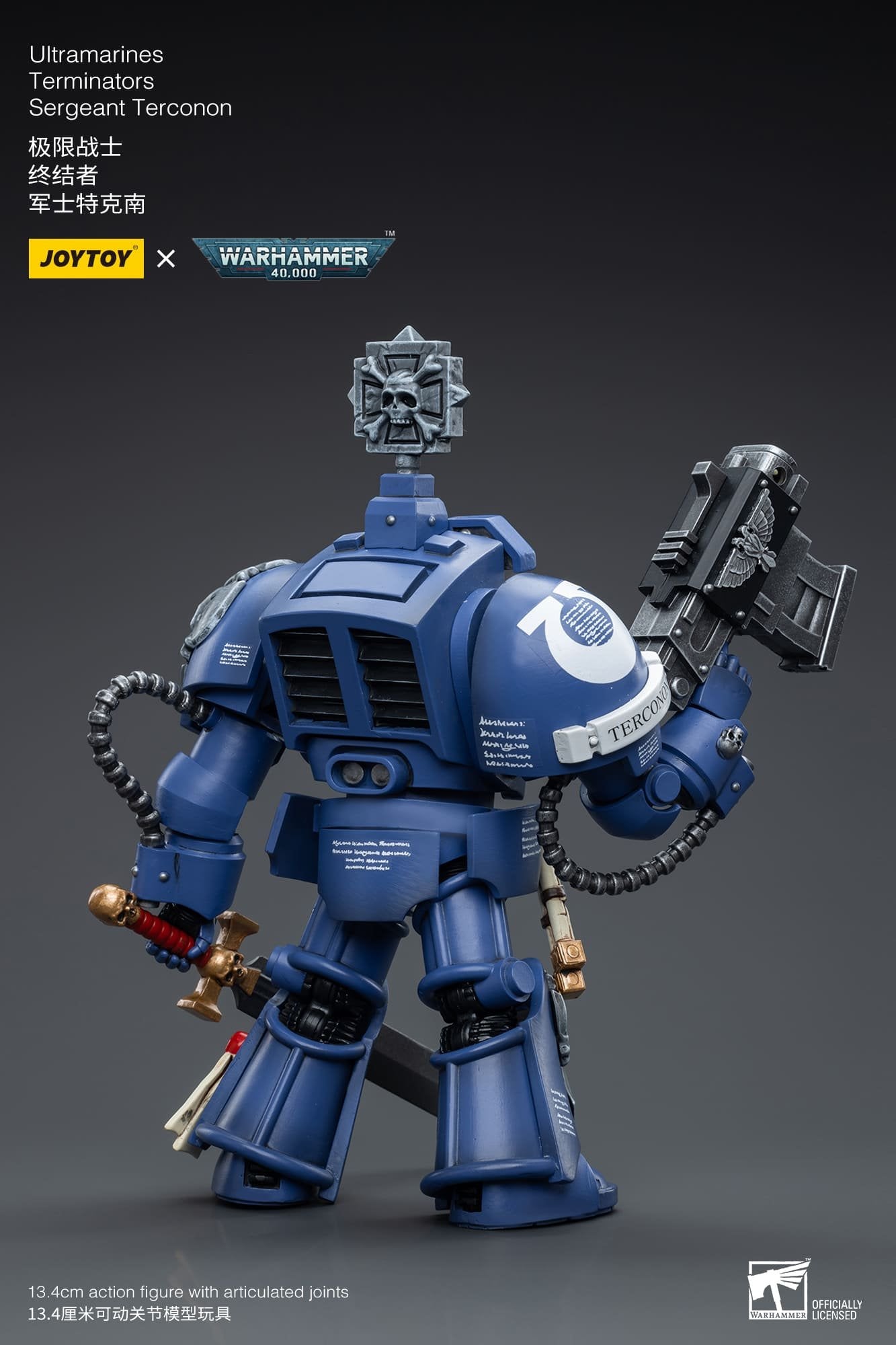 Joytoy: Ultramarines Terminators Sergeant Terconon