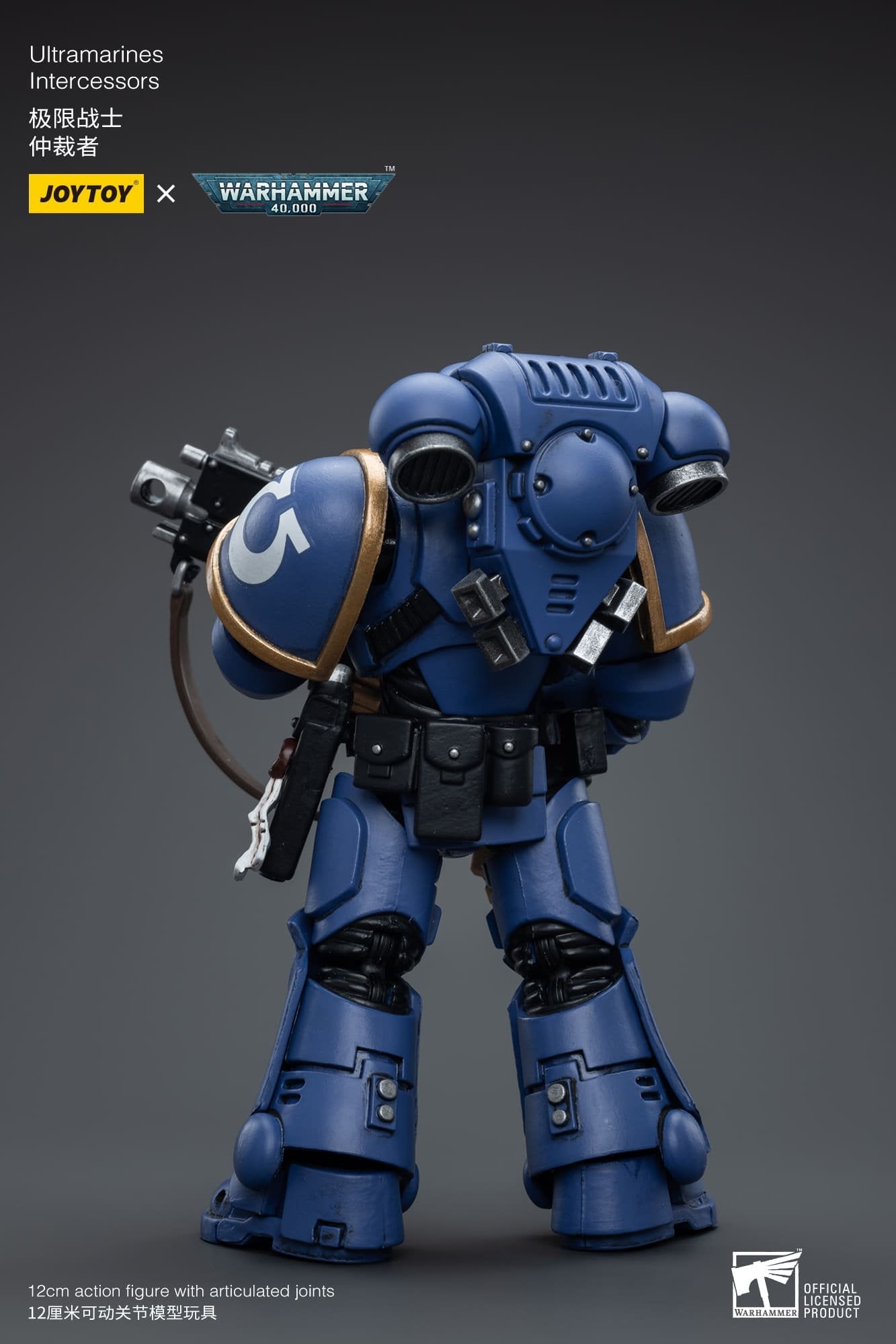 Joytoy: Ultramarines Intercessors