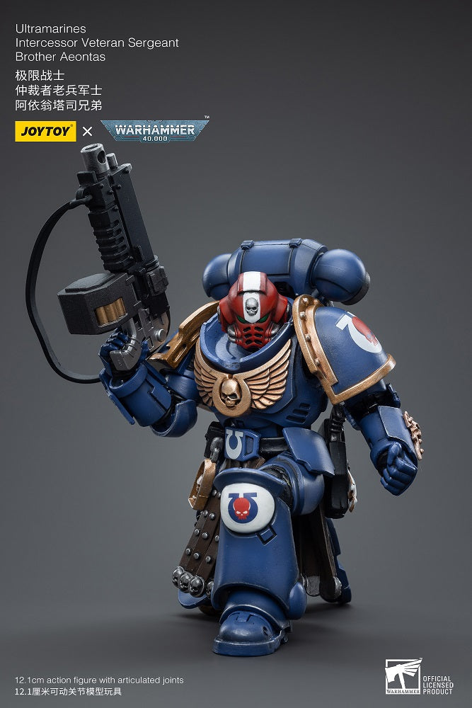 Joytoy: Ultramarines Intercessor Veteran Sergeant Brother Aeontas