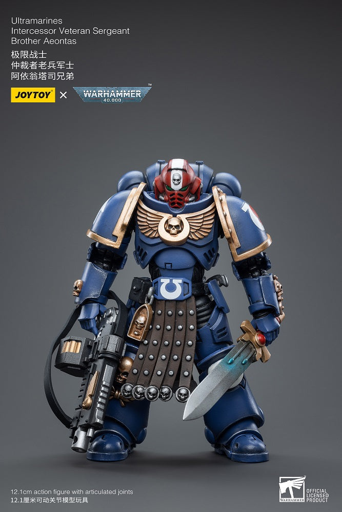 Joytoy: Ultramarines Intercessor Veteran Sergeant Brother Aeontas