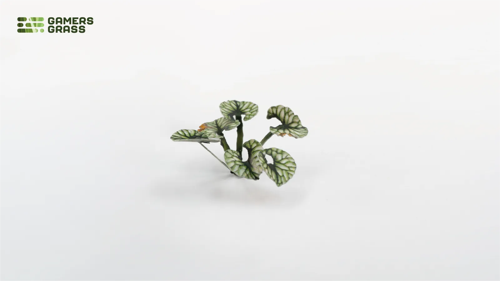 Laser Plants: Bugloss