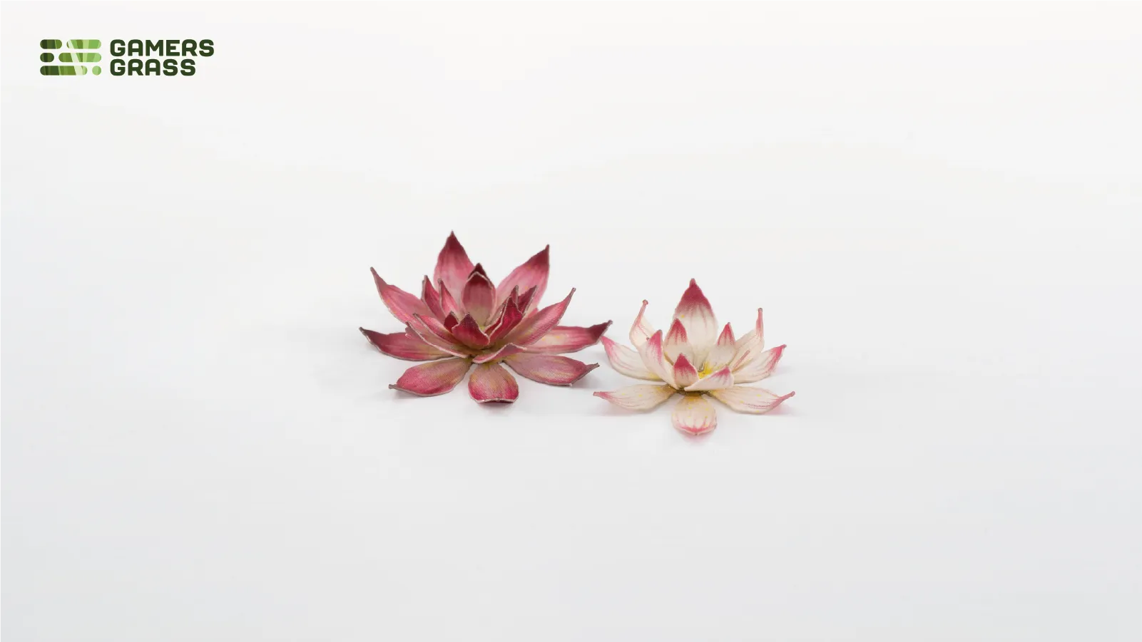 Laser Plants: Lotus Flower