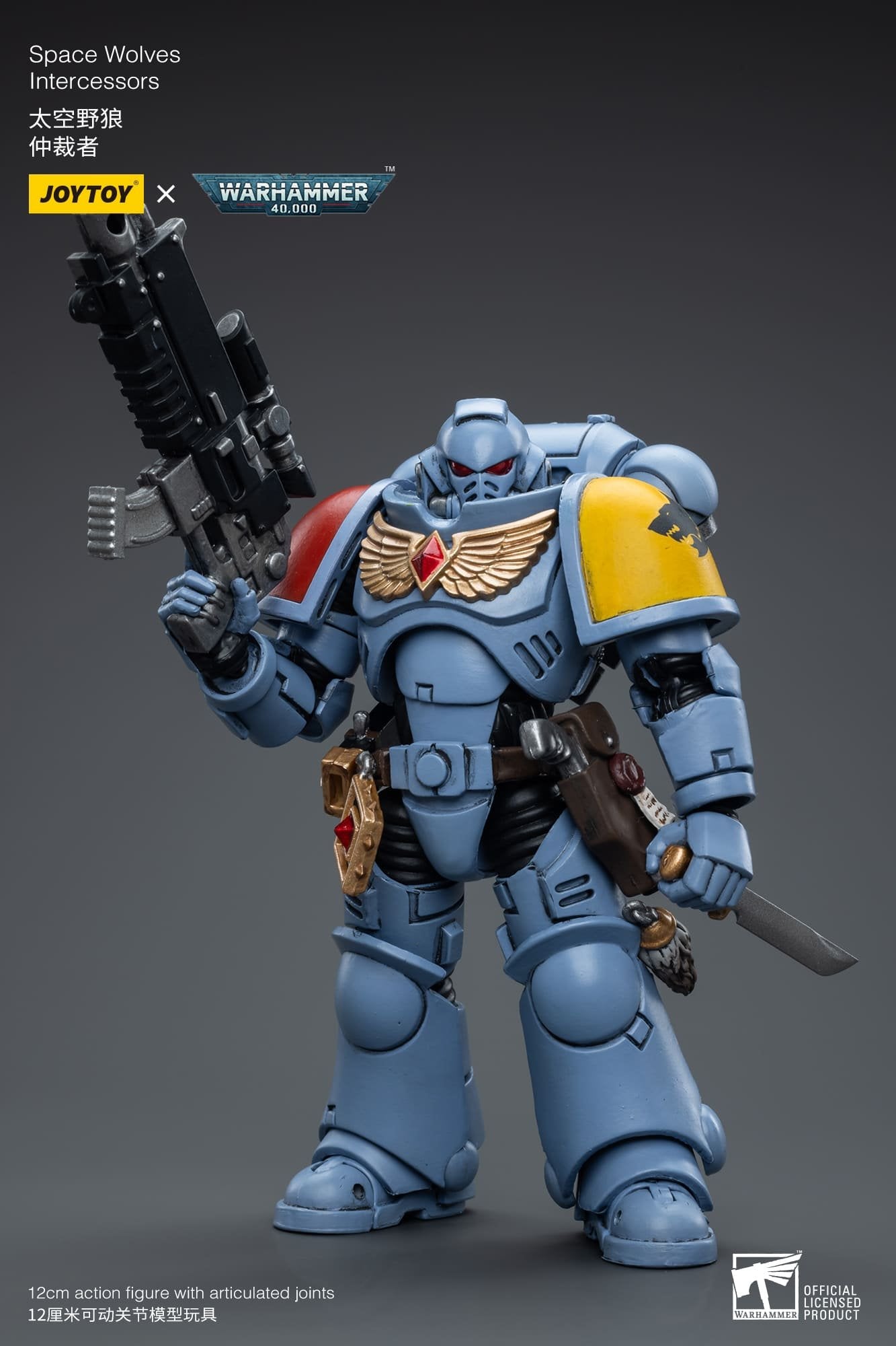 Joytoy: Space Wolves Intercessors