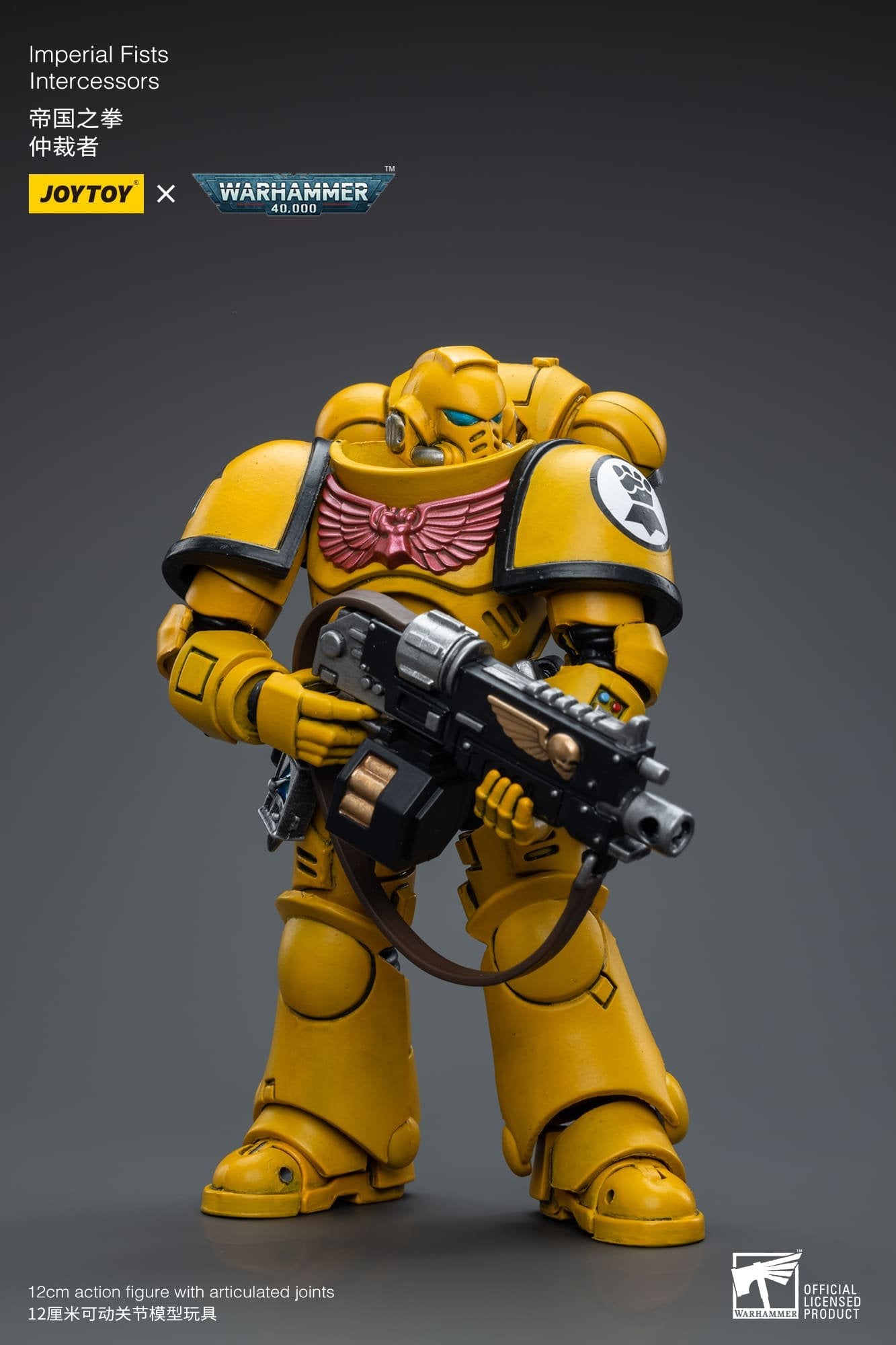 Joytoy: Imperial Fists Intercessors