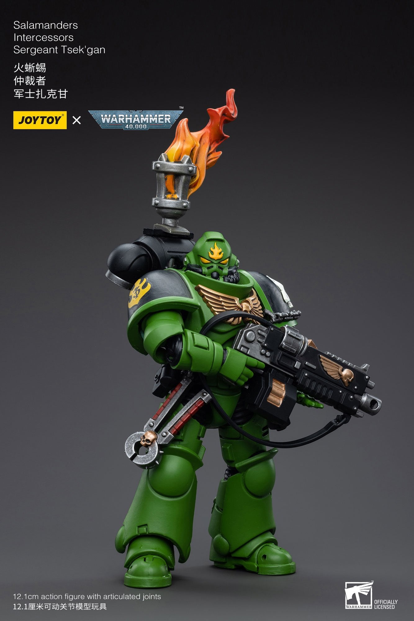 Joytoy: Salamanders Intercessors Sergeant Tsek'gan