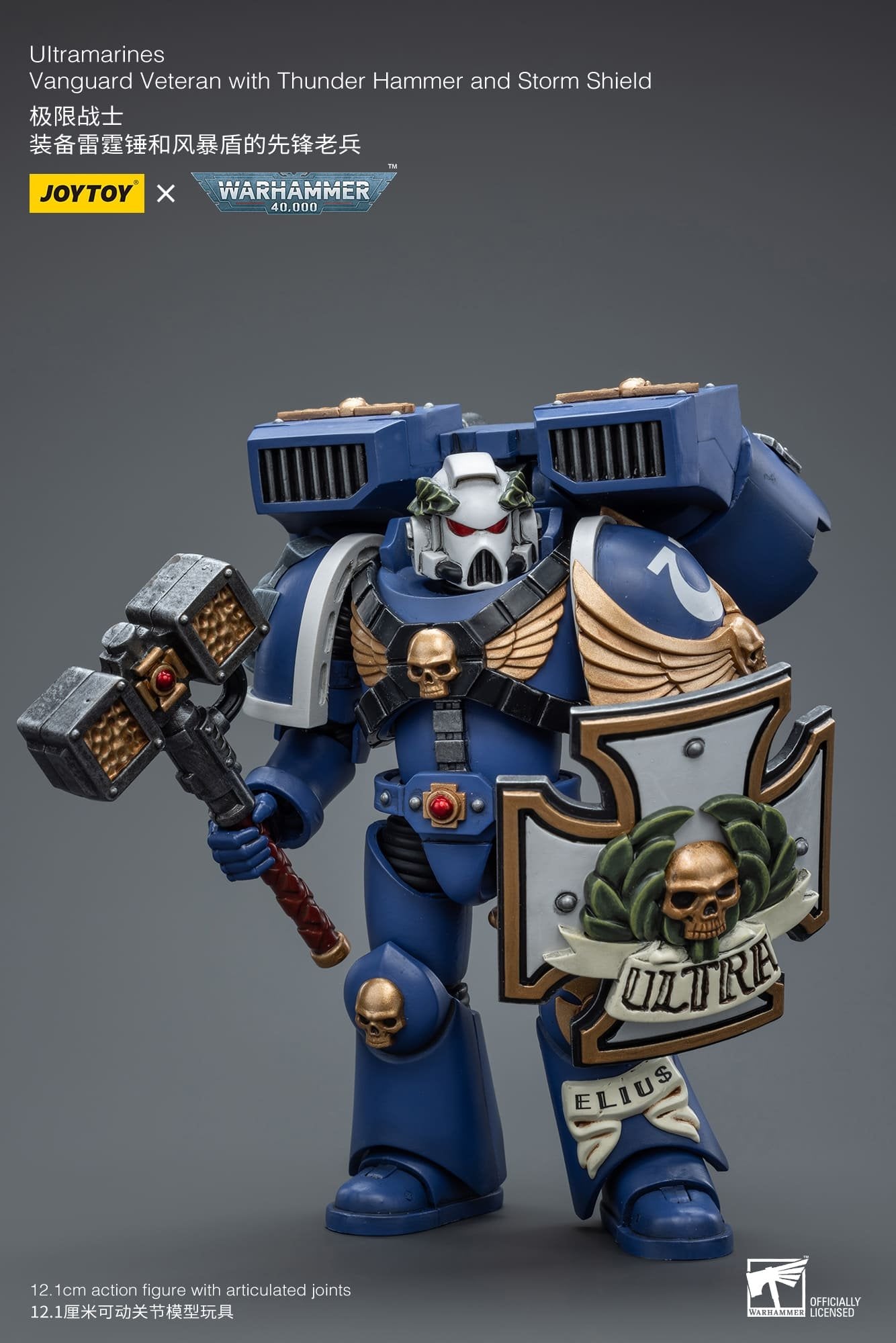 Joytoy: Ultramarines Vanguard Veteran with Thunder Hammer and Storm Shield