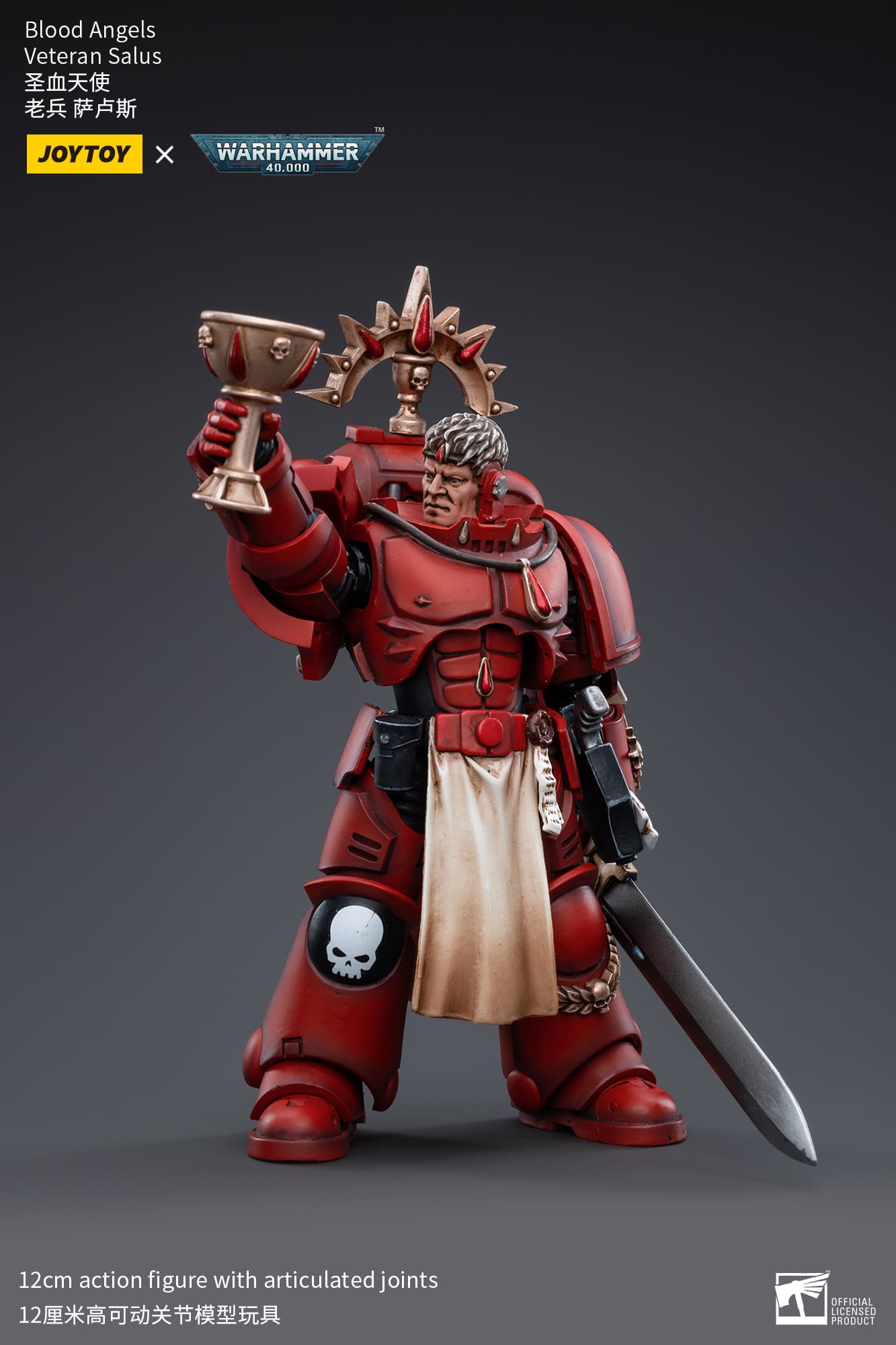 Joytoy: Blood Angels Veteran Salus