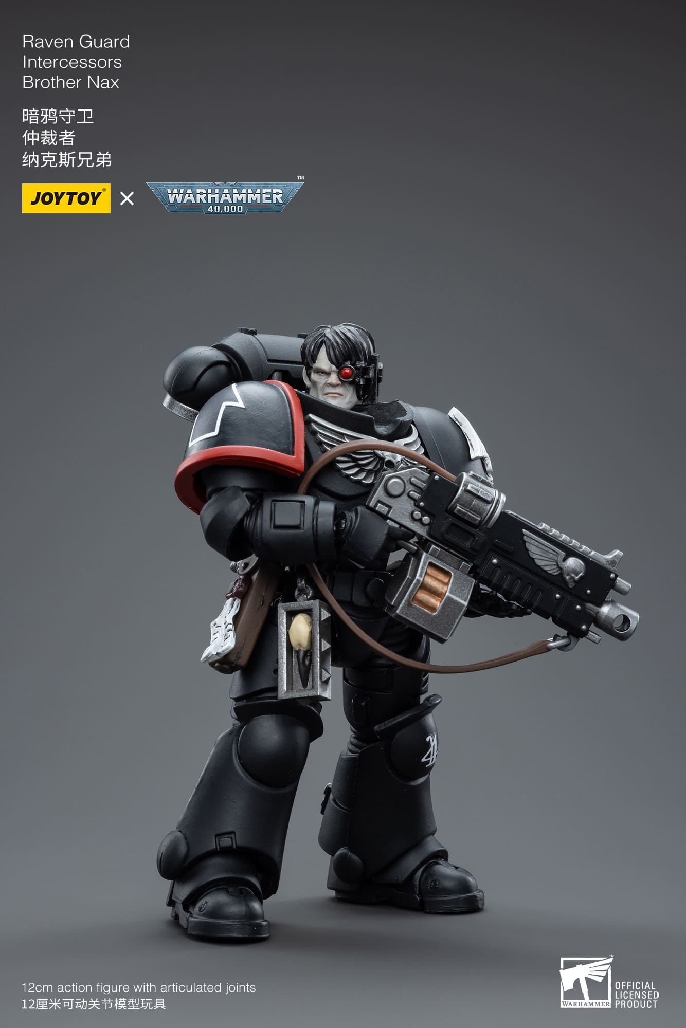 Joytoy: Raven Guard Intercessors Brother Nax