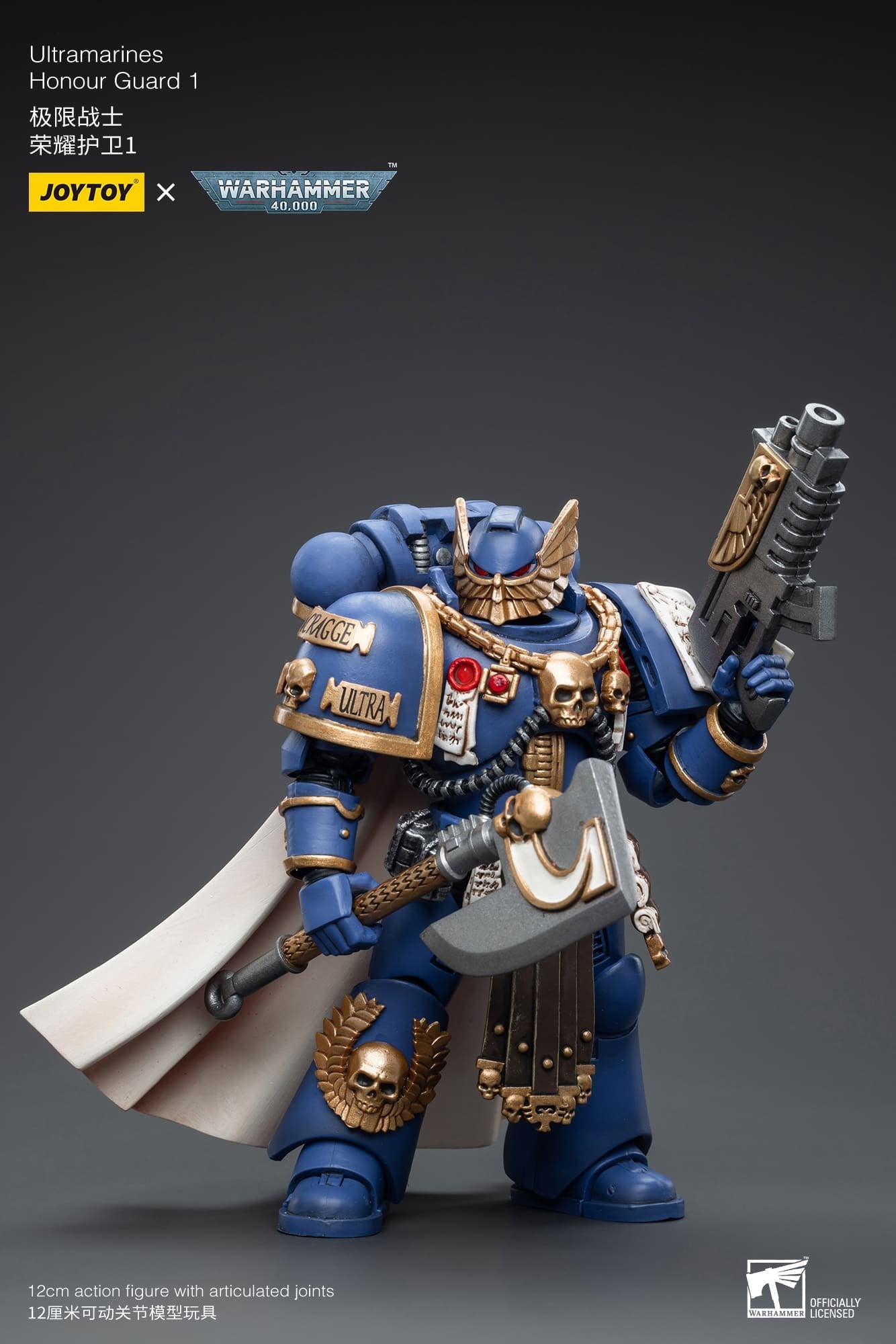 Joytoy: Ultramarines Honour Guard 1