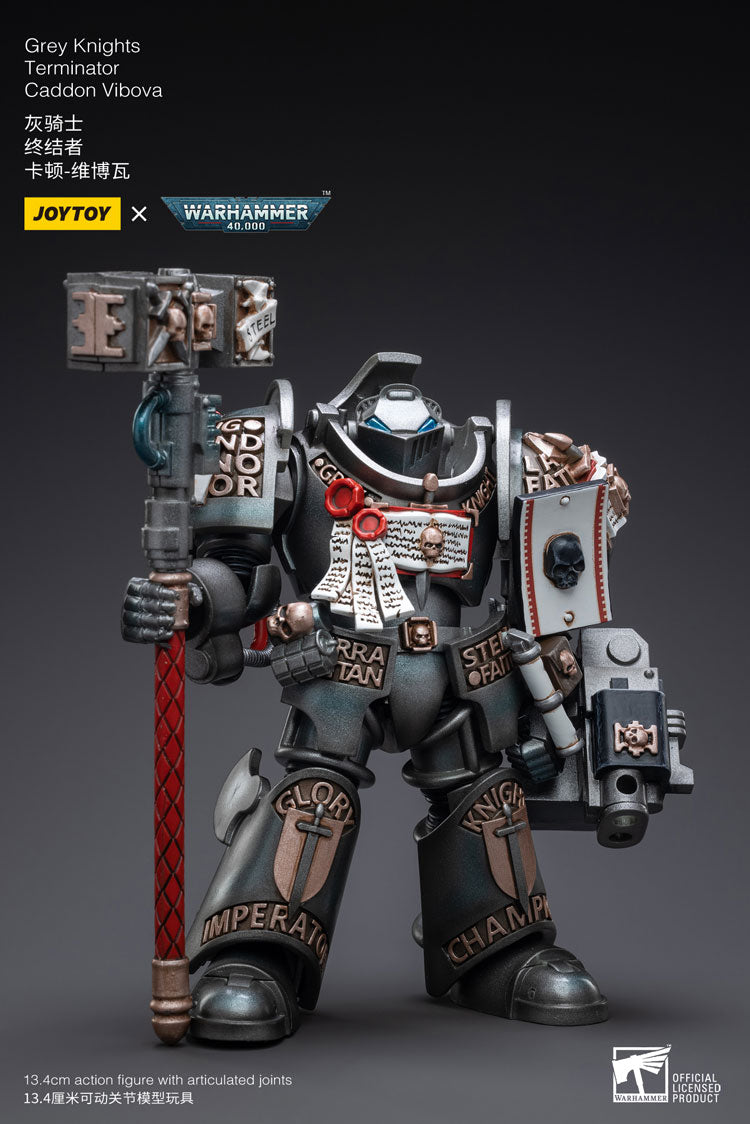 Joytoy: Space Marine Grey Knights Terminator, Caddon Vibova