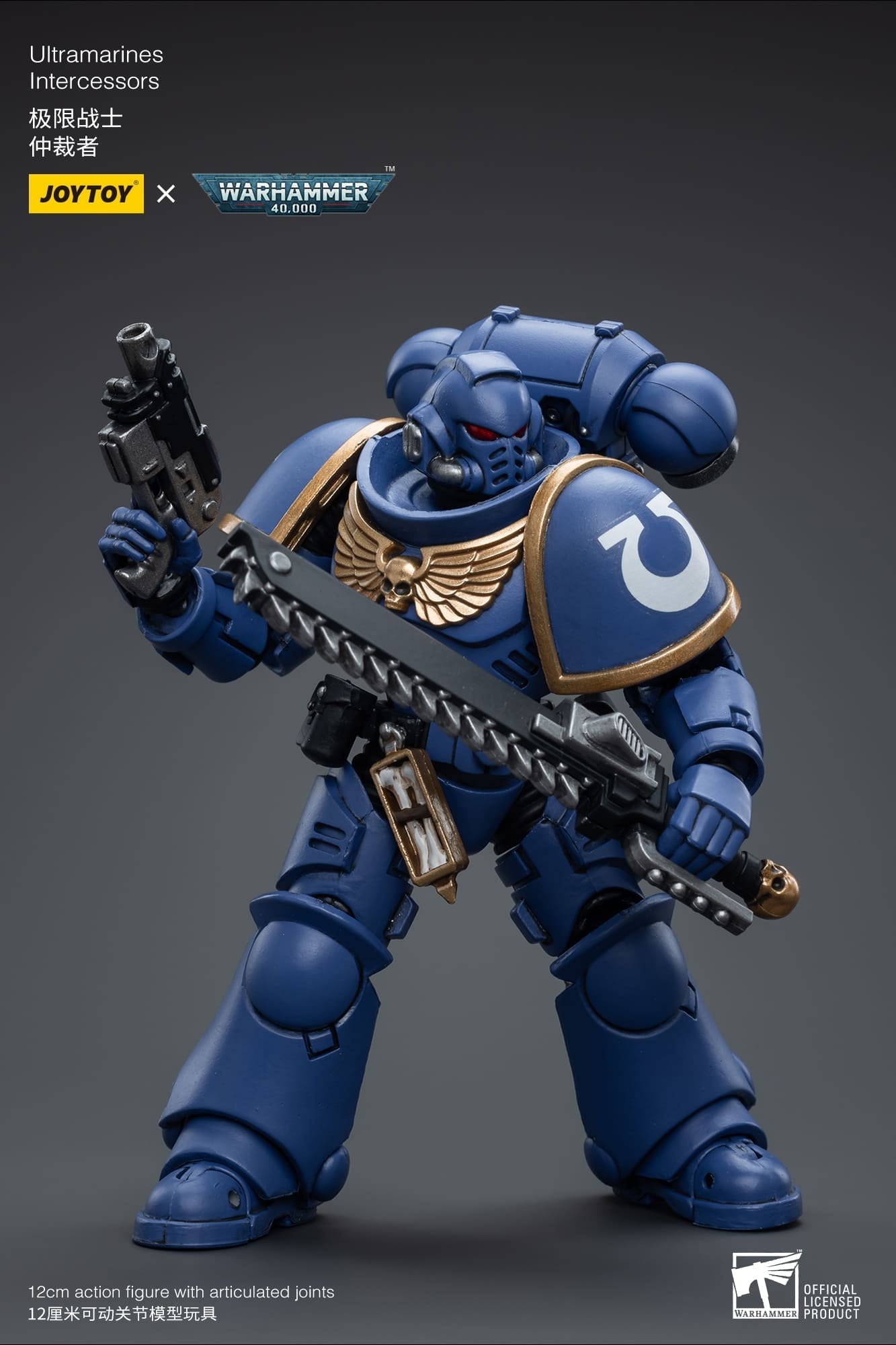 Joytoy: Ultramarines Intercessors