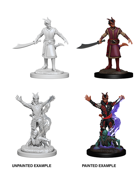 D&D Nolzur's Marvelous Miniatures - Tiefling Male Warlock