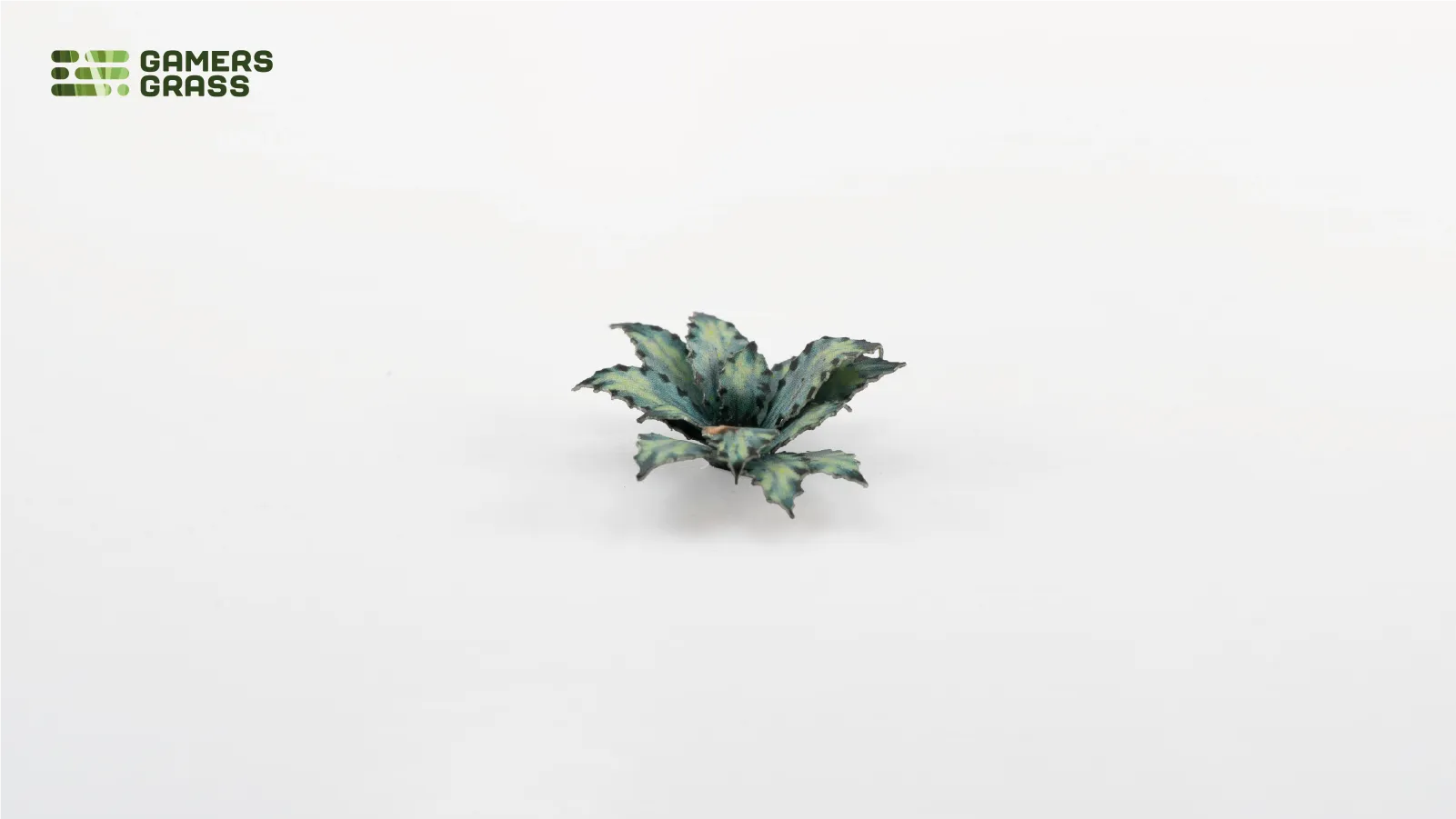 Laser Plants: Blue Agave