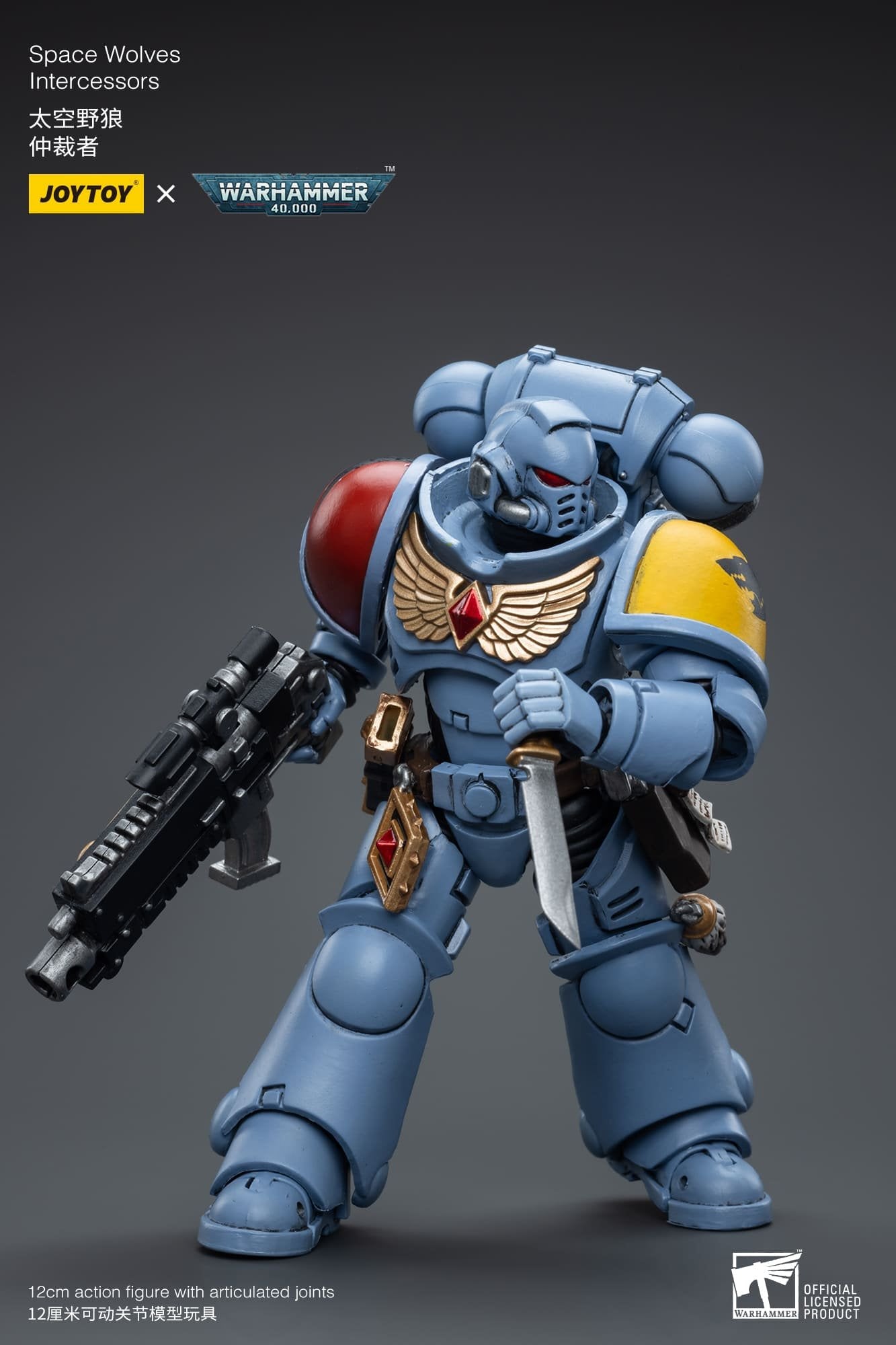 Joytoy: Space Wolves Intercessors