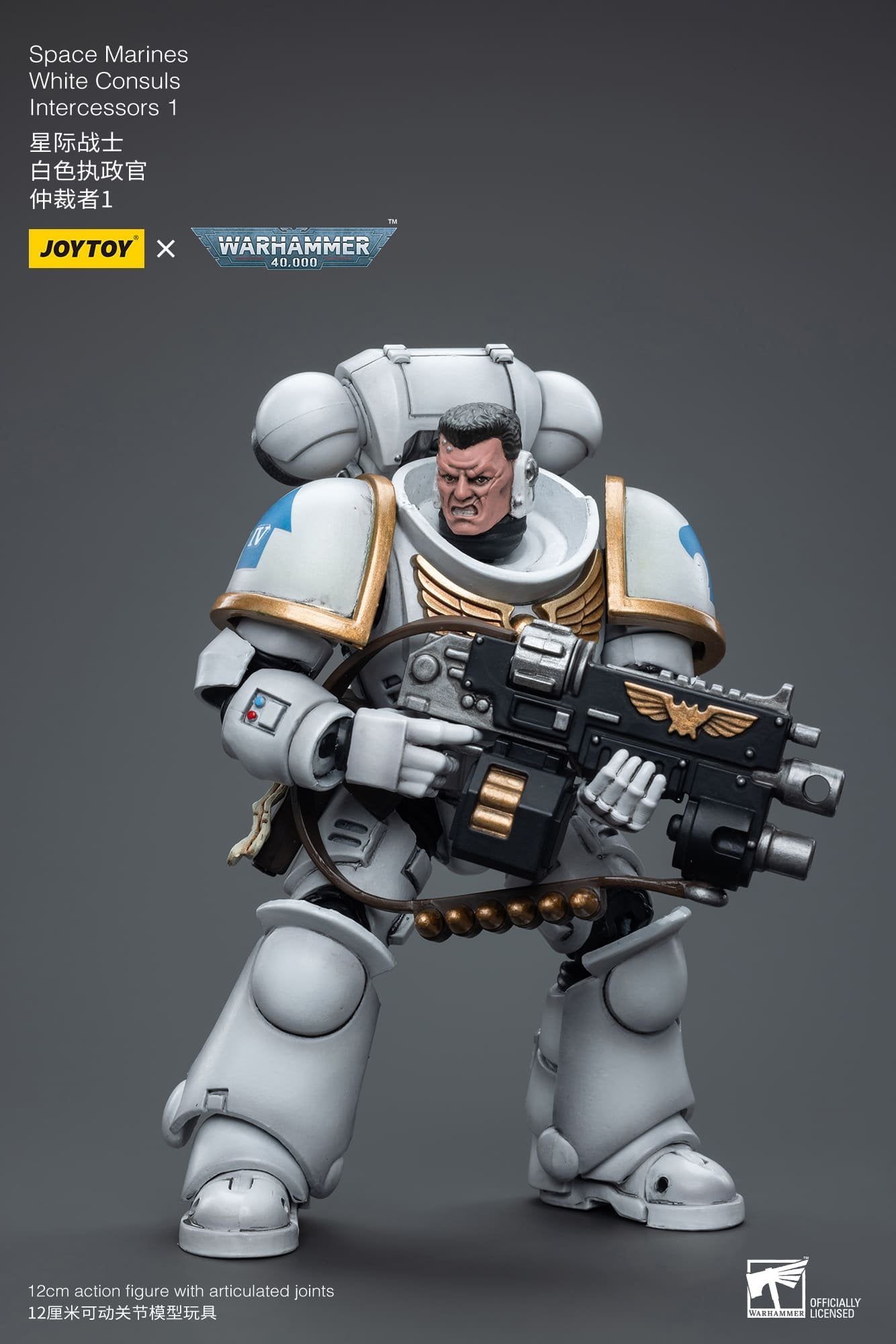 Joytoy: Space Marines White Consuls  Intercessors 1