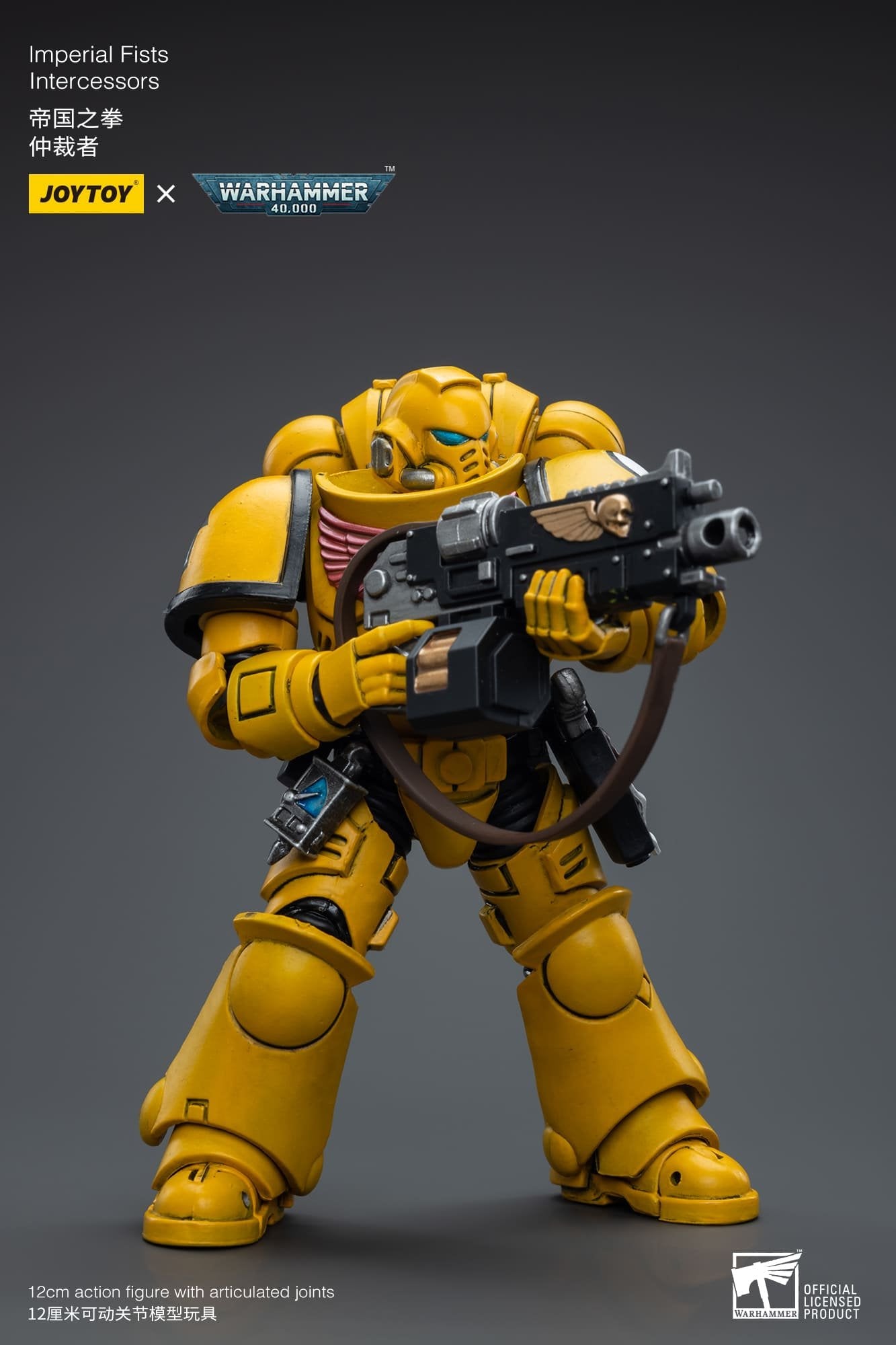 Joytoy: Imperial Fists Intercessors