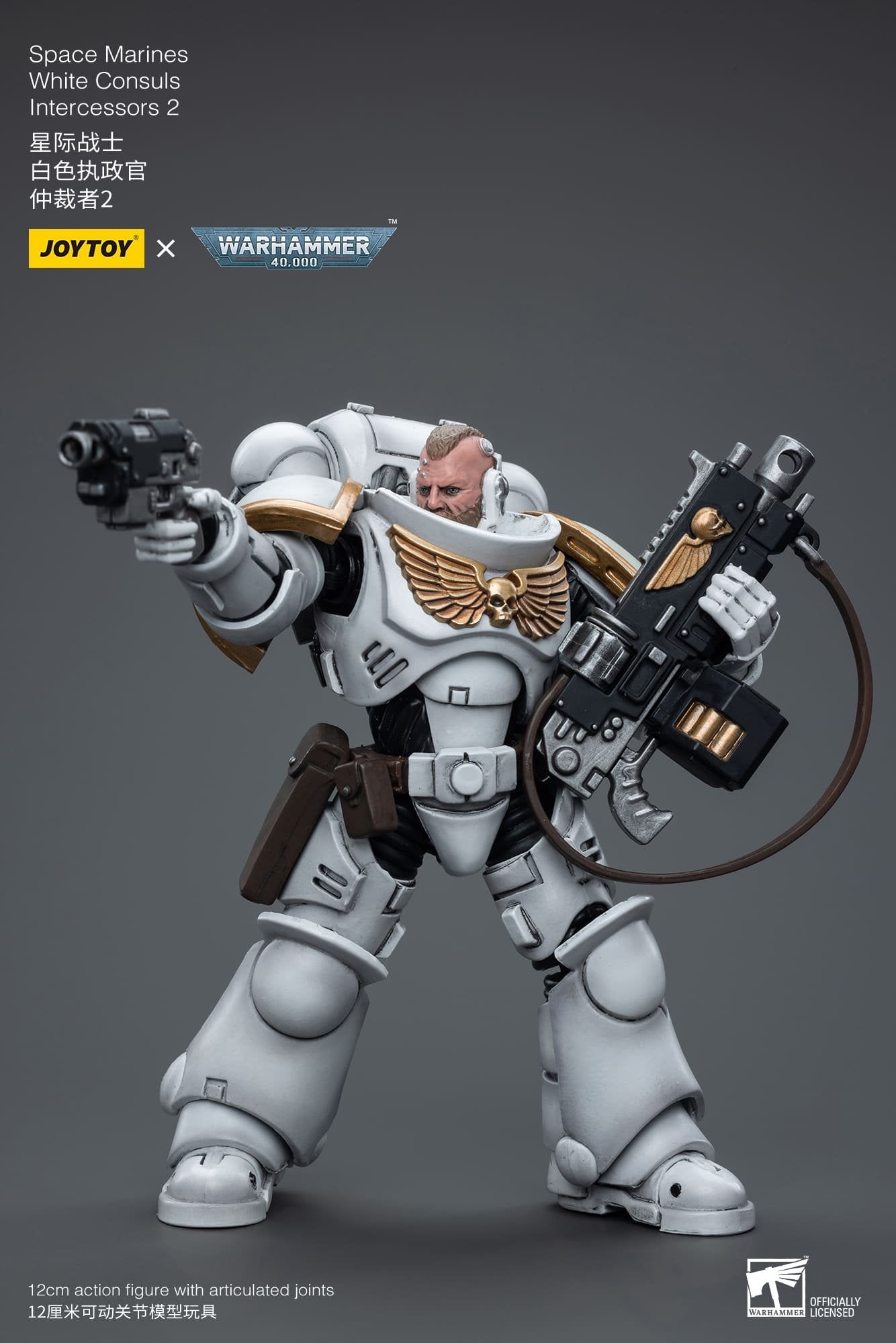 Joytoy: Space Marines White Consuls Intercessors 2