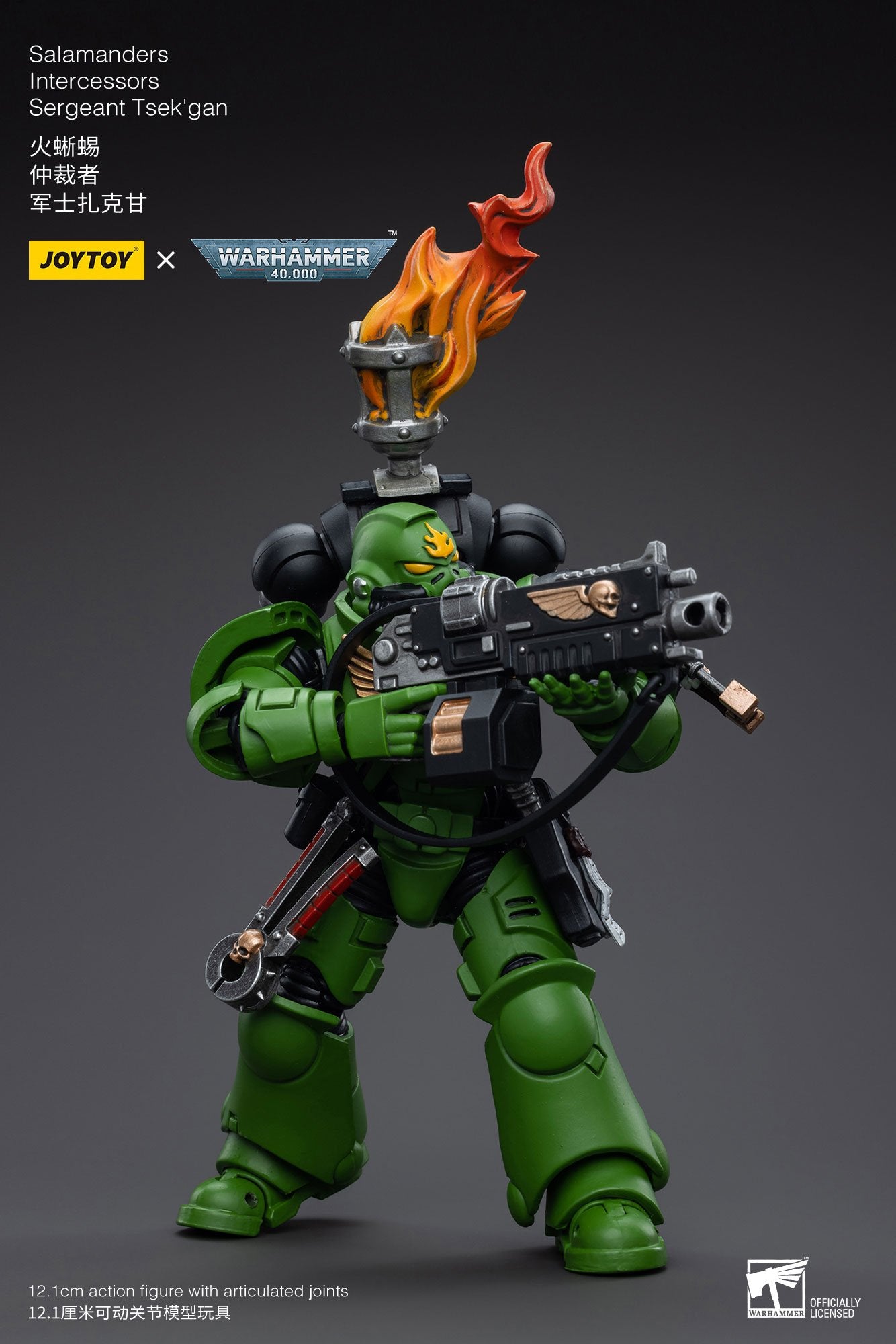 Joytoy: Salamanders Intercessors Sergeant Tsek'gan