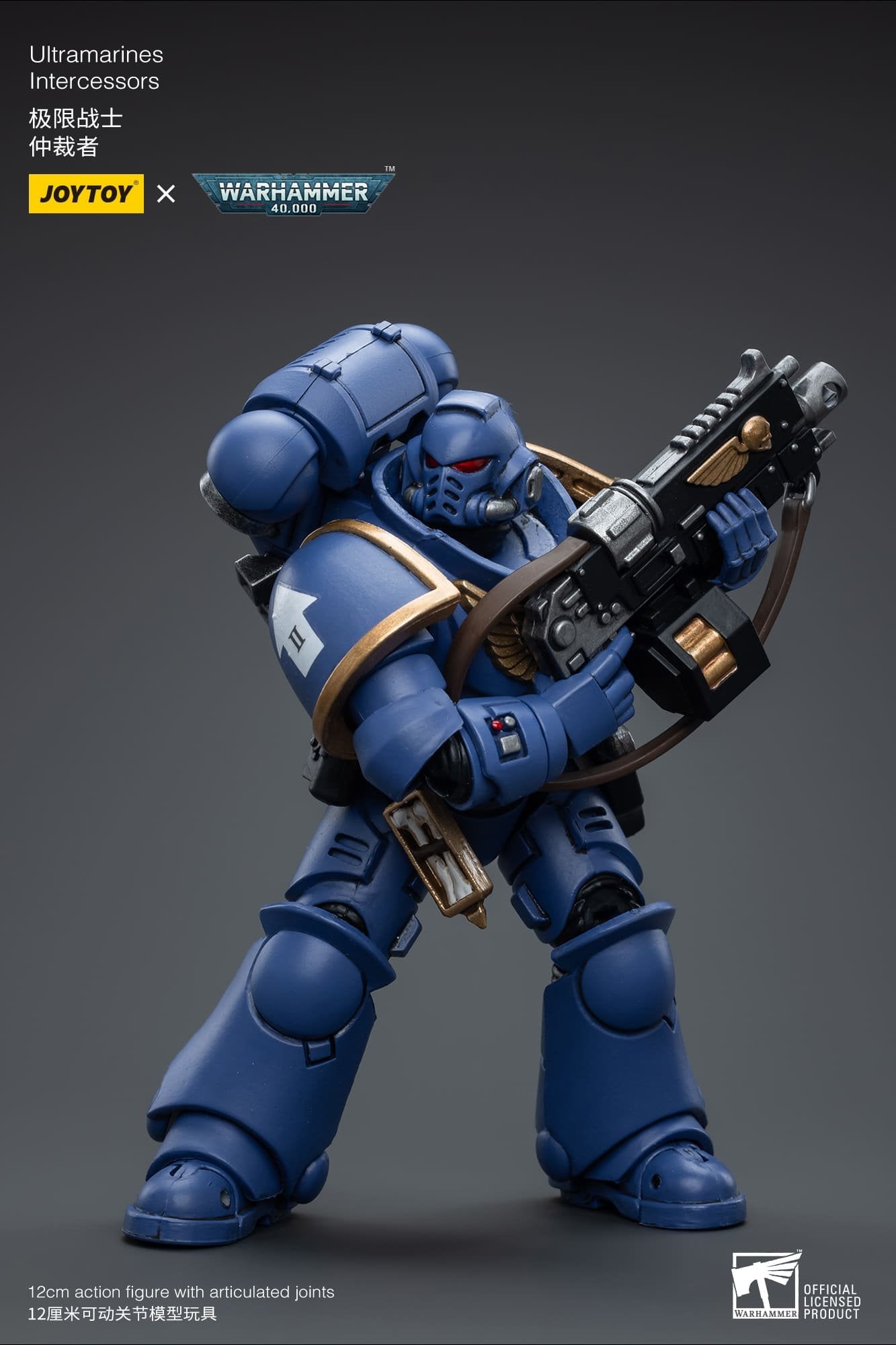 Joytoy: Ultramarines Intercessors