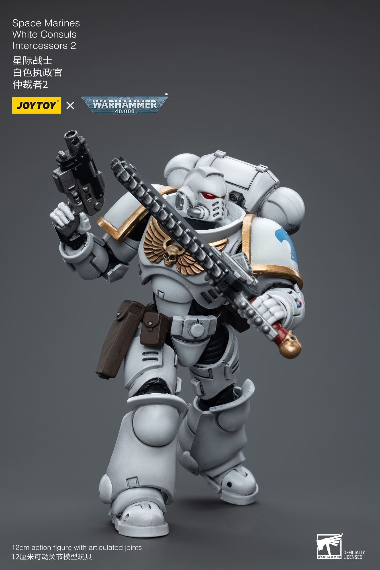 Joytoy: Space Marines White Consuls Intercessors 2