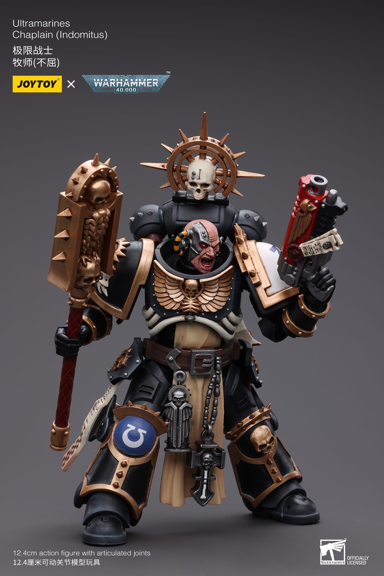 Joytoy:  Ultramarines Chaplain (Indomitus)