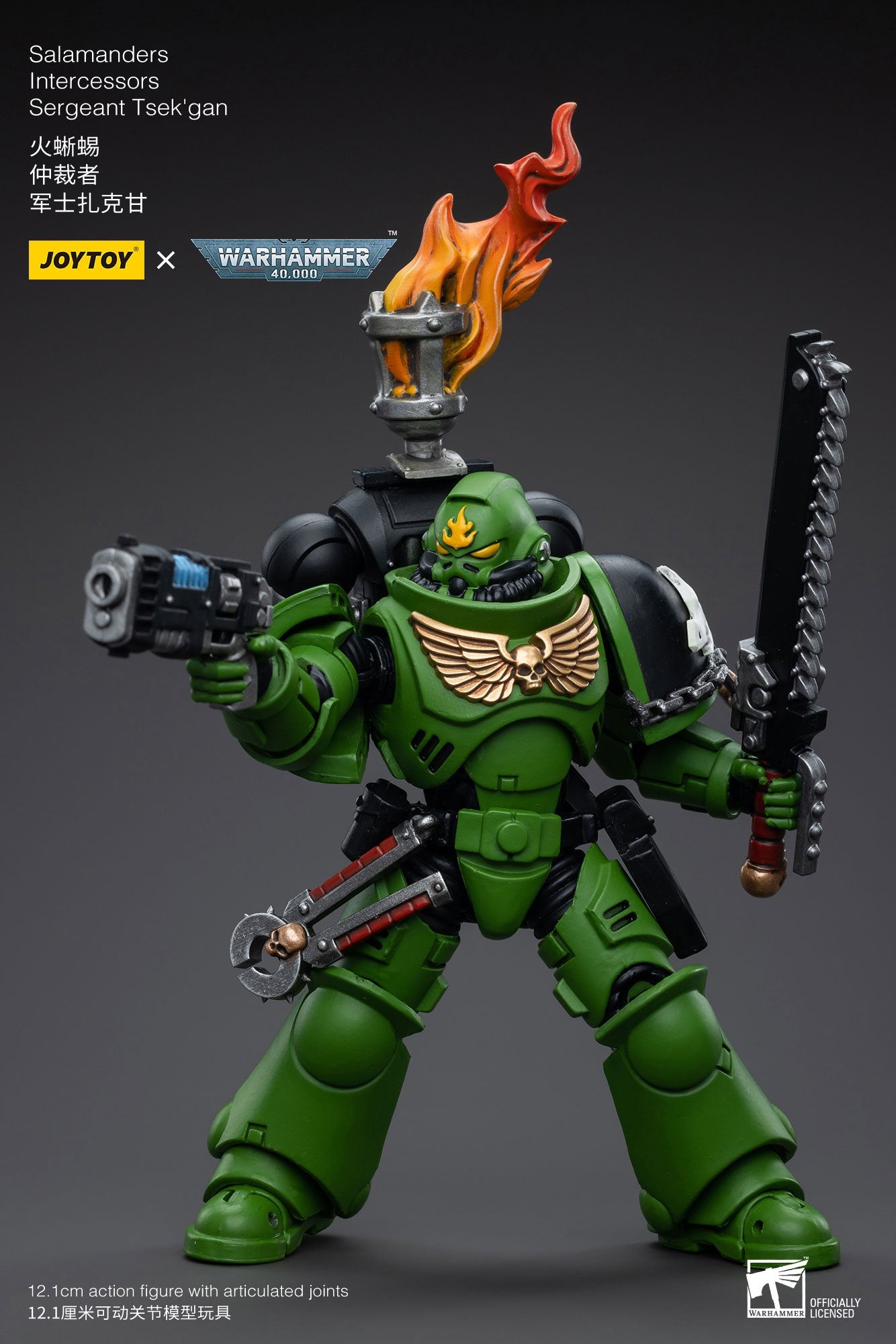 Joytoy: Salamanders Intercessors Sergeant Tsek'gan