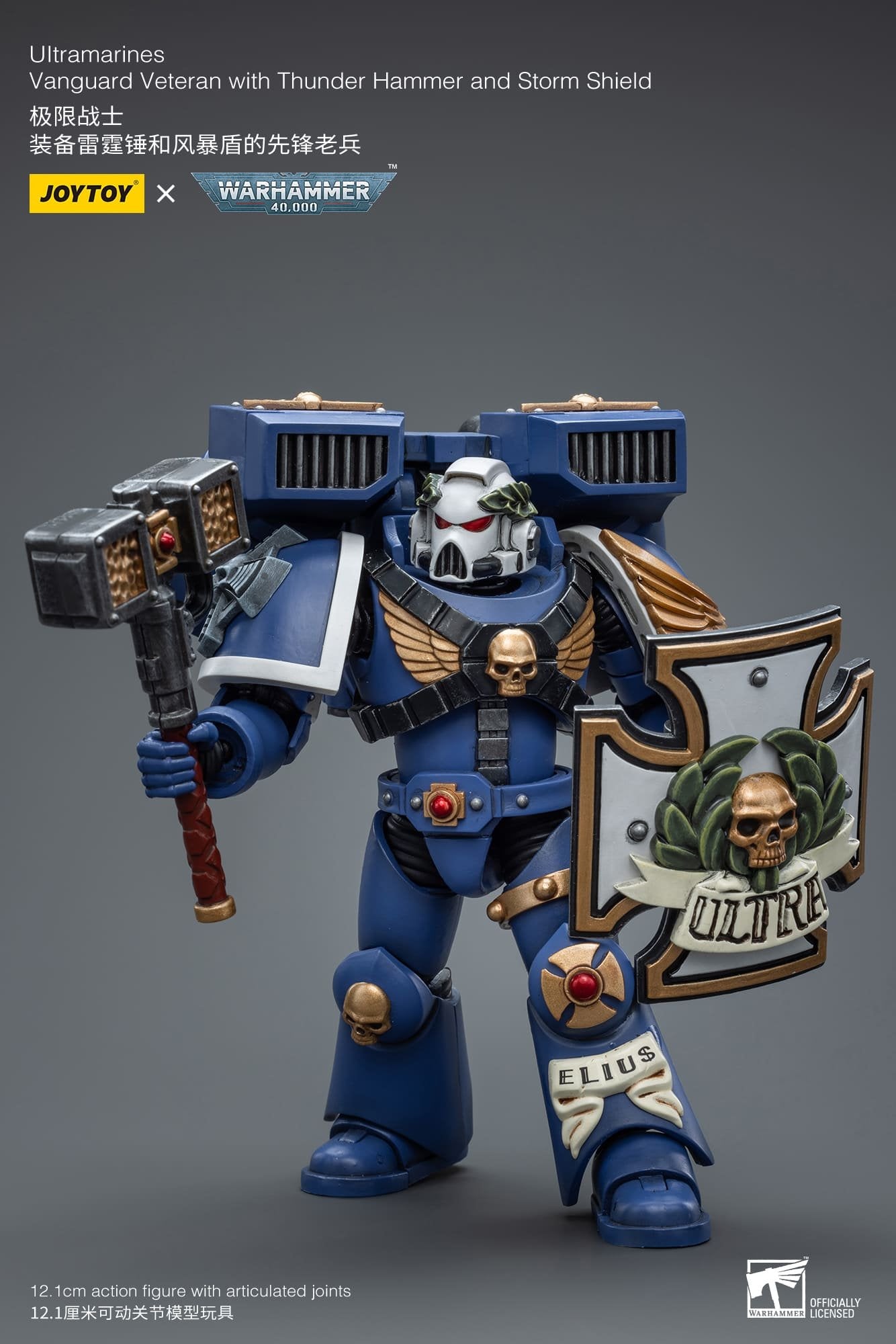 Joytoy: Ultramarines Vanguard Veteran with Thunder Hammer and Storm Shield