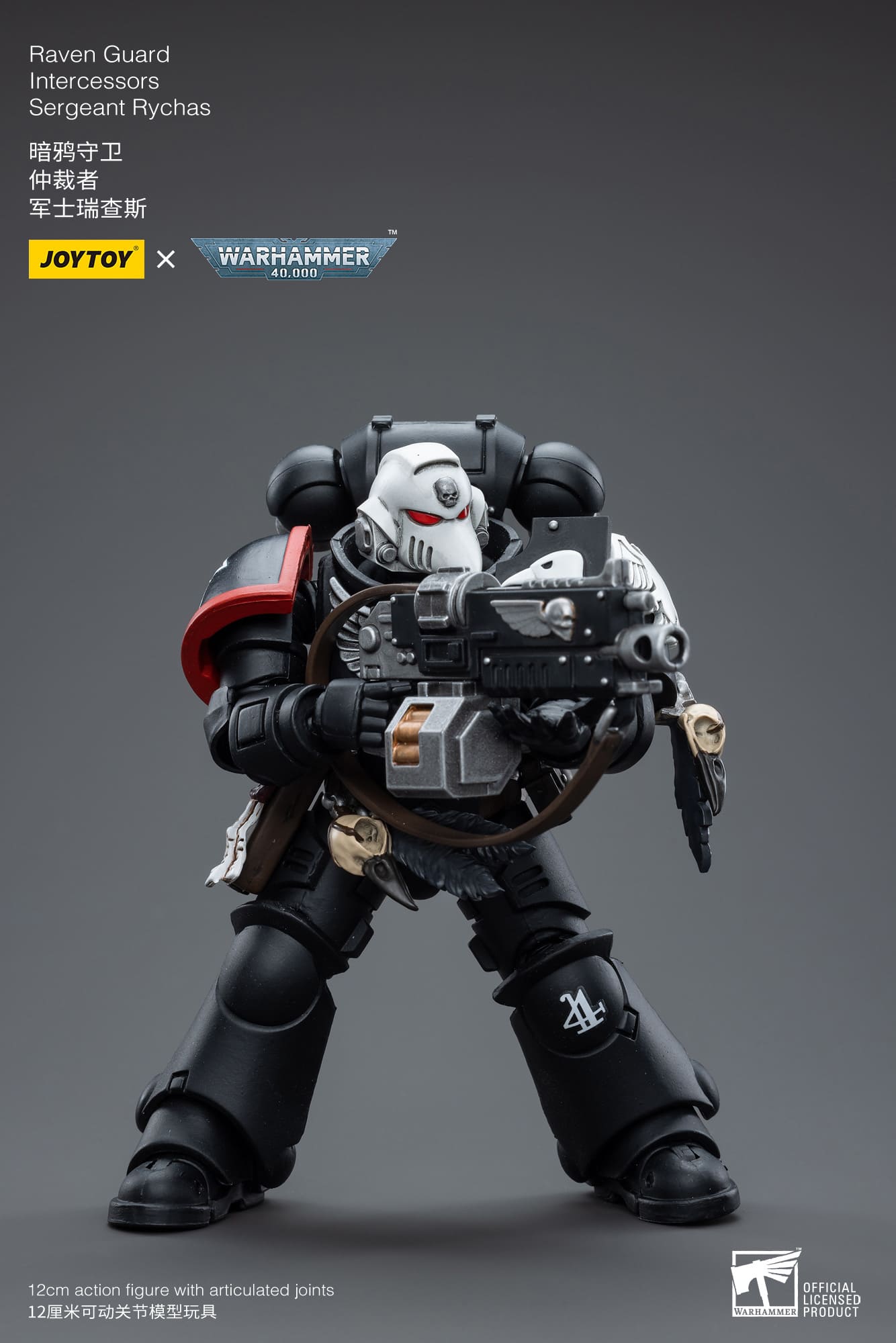 Joytoy: Raven Guard Intercessors Sergeant Rychas