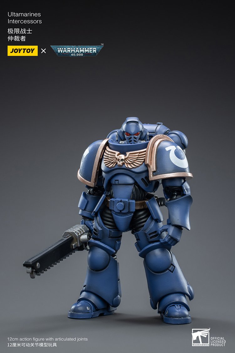 Joytoy: Ultramarines Intercessors