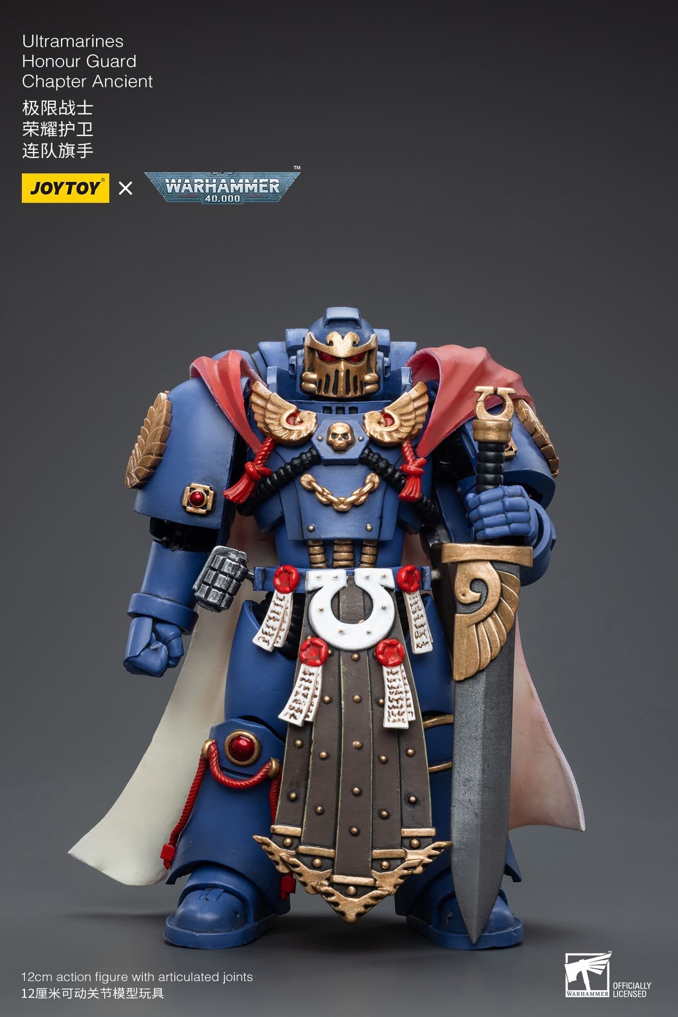 Joytoy: Ultramarines Honour Guard Chapter Ancient