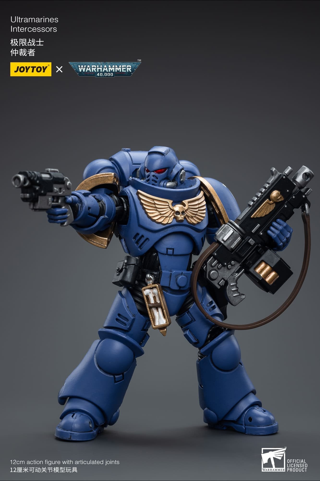 Joytoy: Ultramarines Intercessors