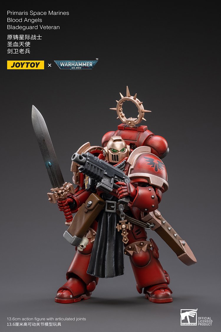 Joytoy:  Blood Angels Bladeguard Veteran