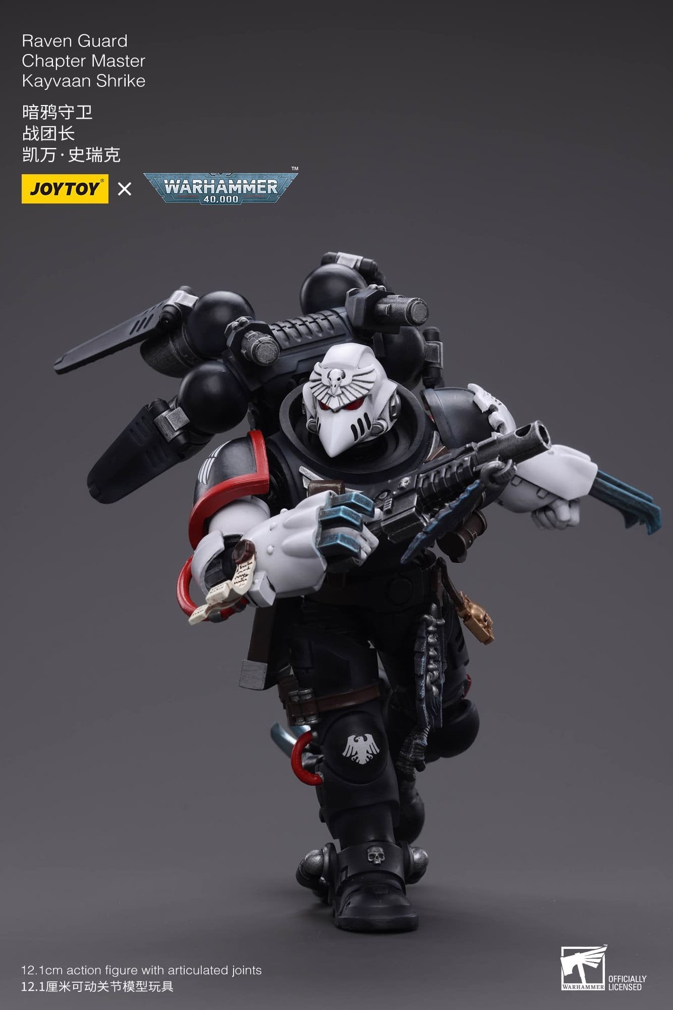 Joytoy: Raven Guard Chapter Master Kayvaan Shrike