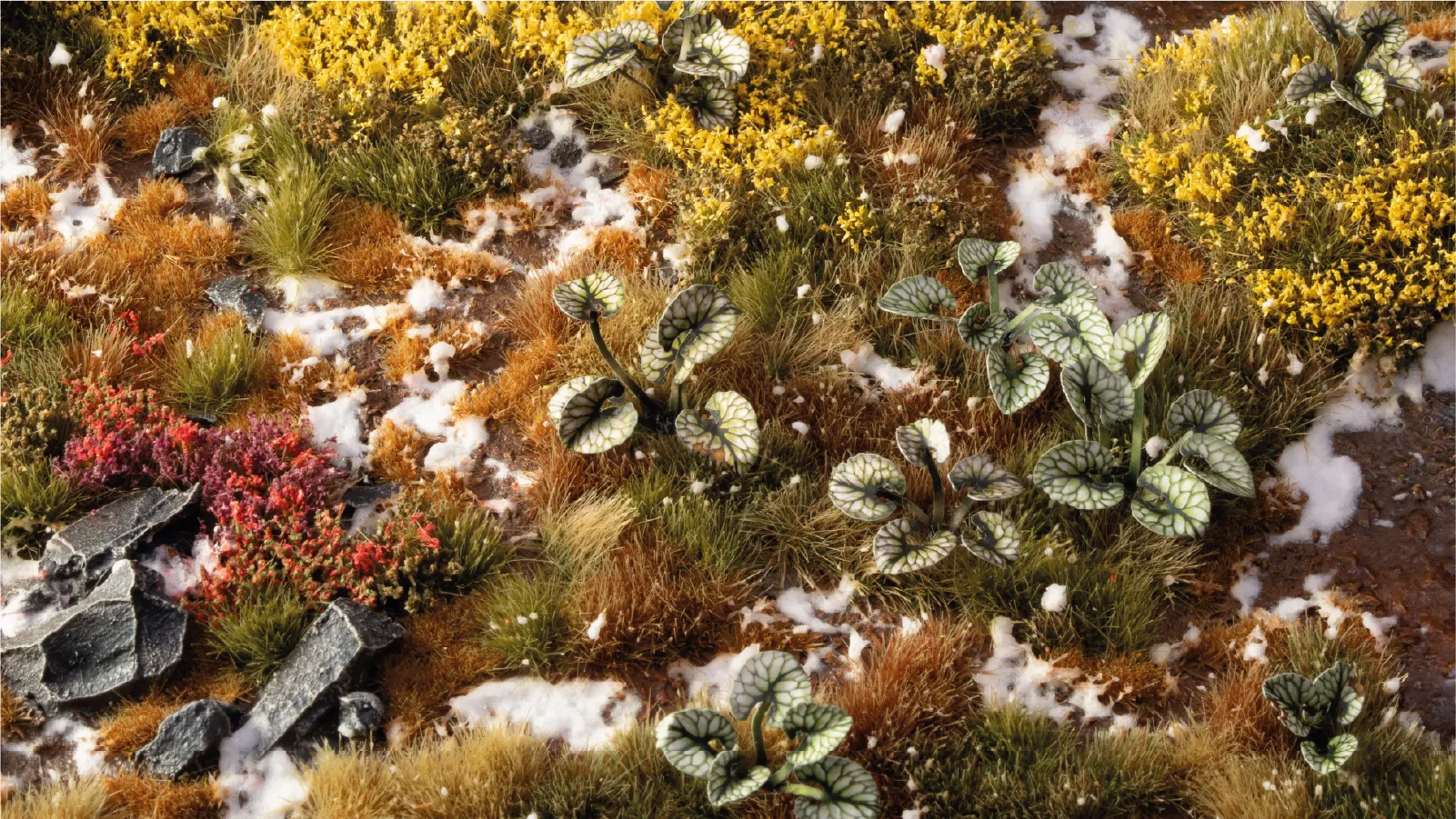 Laser Plants: Bugloss