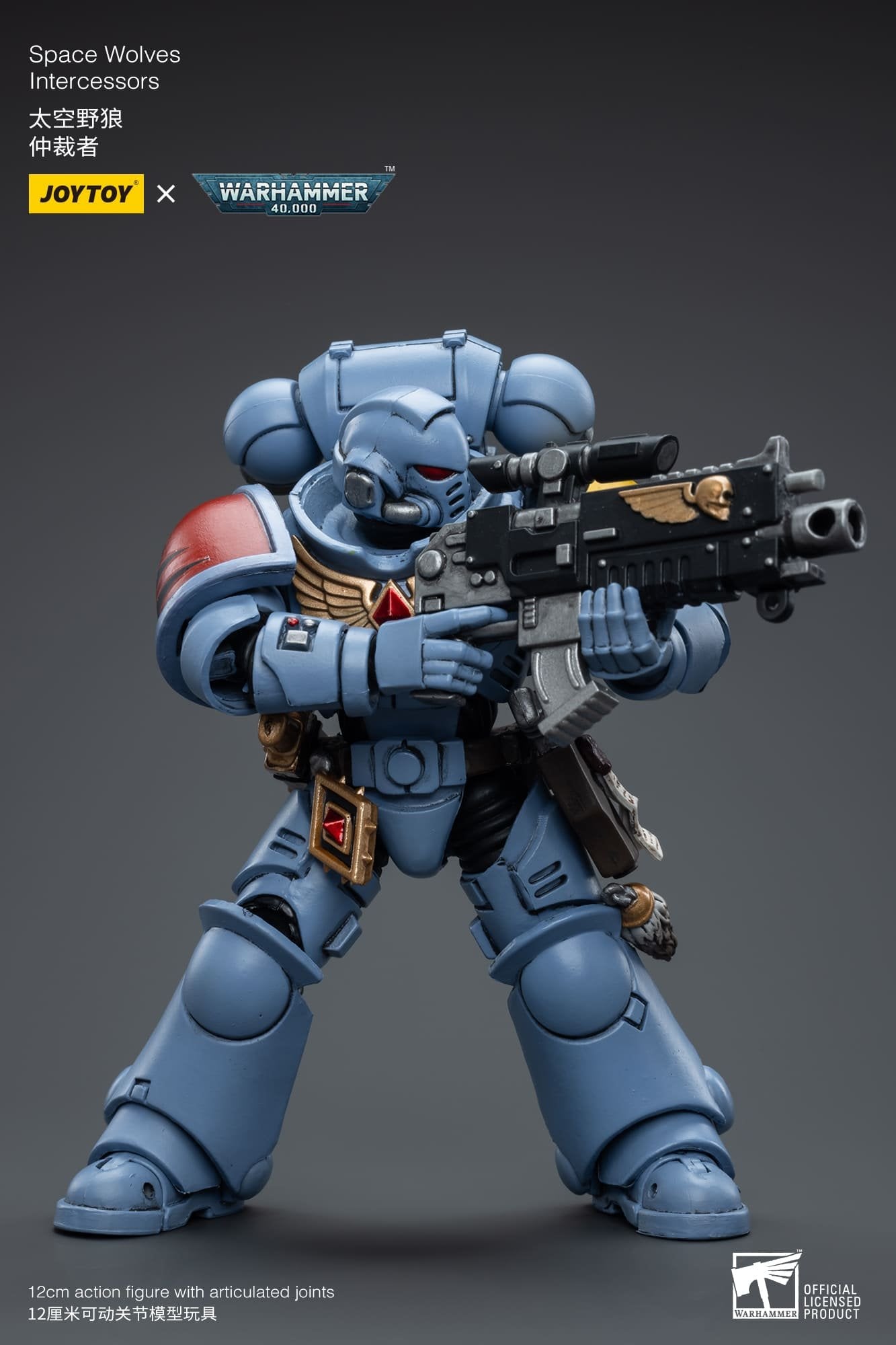 Joytoy: Space Wolves Intercessors