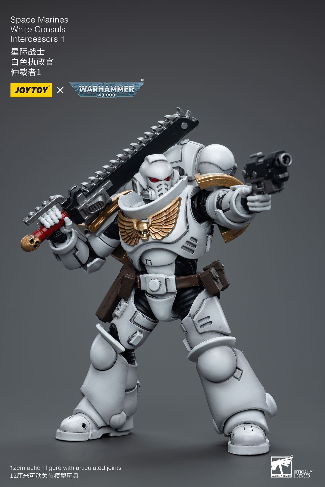 Joytoy: Space Marines White Consuls  Intercessors 1