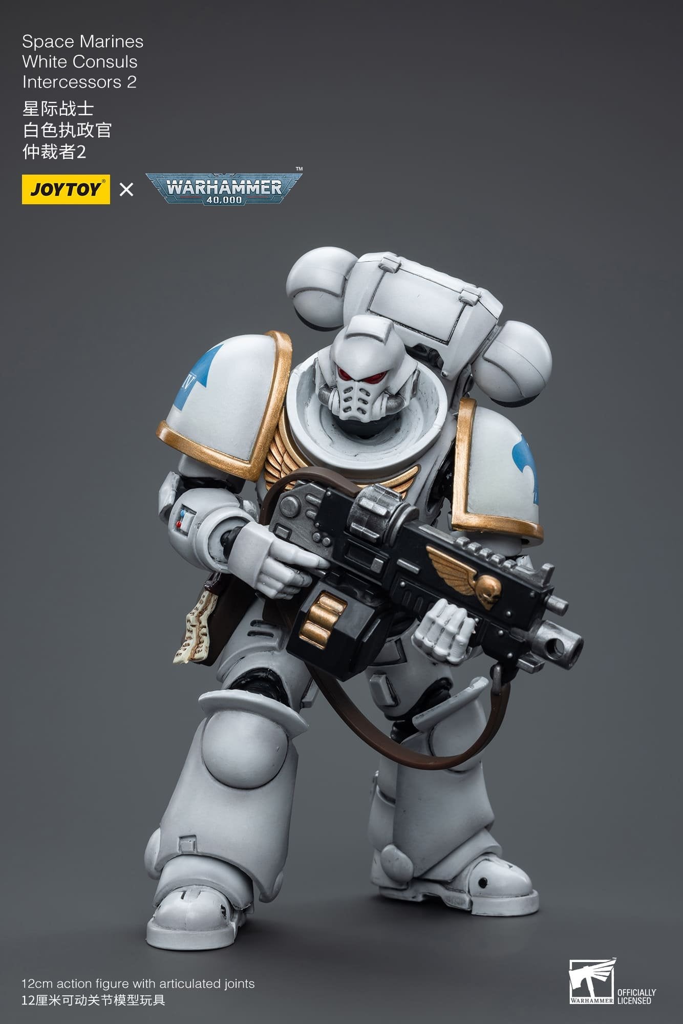 Joytoy: Space Marines White Consuls Intercessors 2