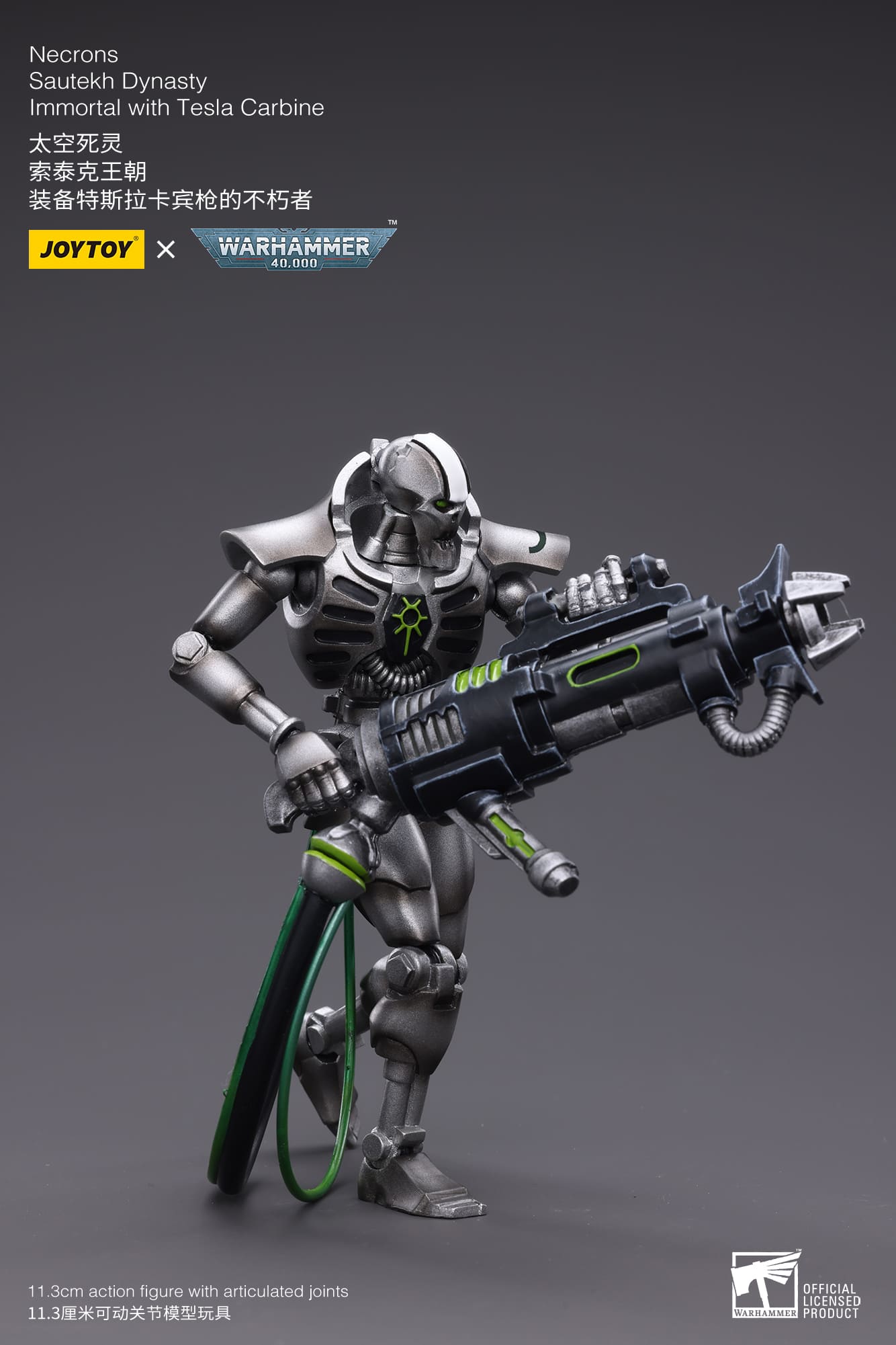 Joytoy: Necrons Sautekh Dynasty Immortal with Tesla Carbine