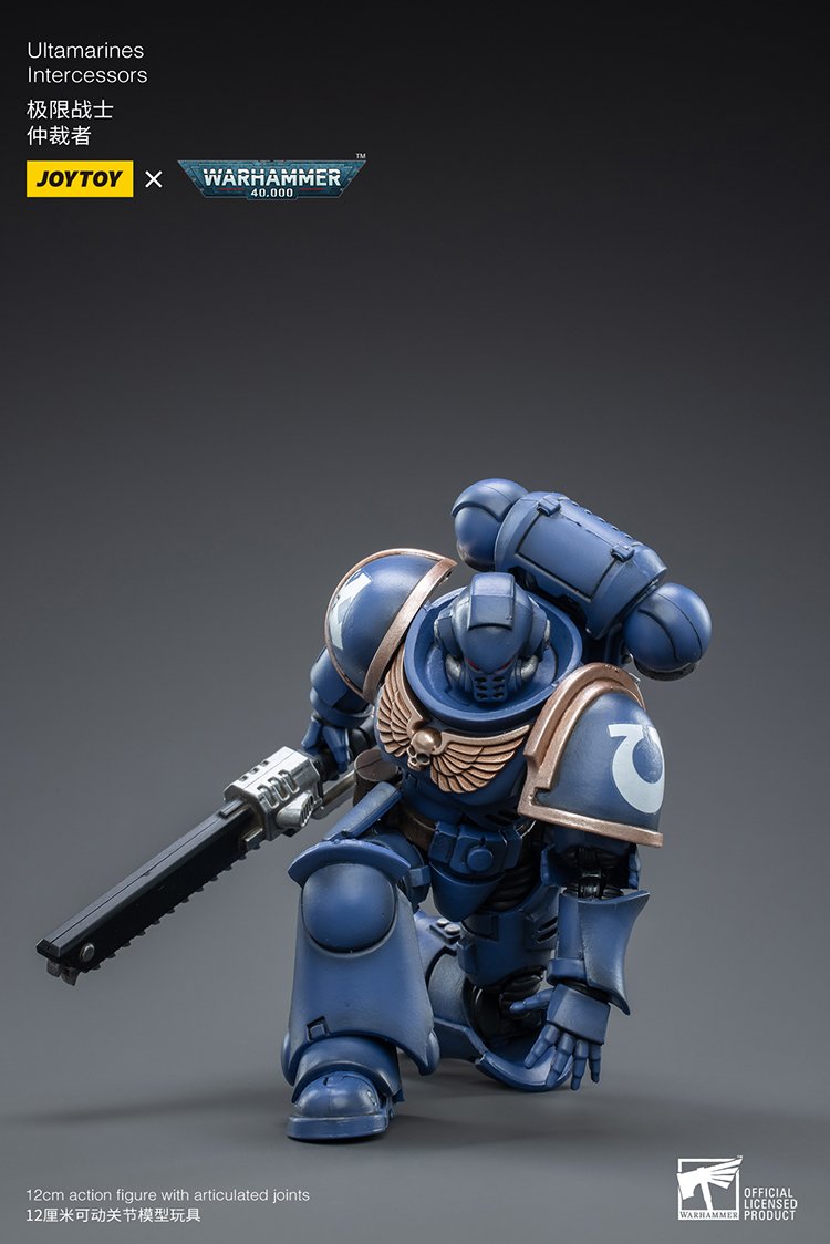 Joytoy: Ultramarines Intercessors