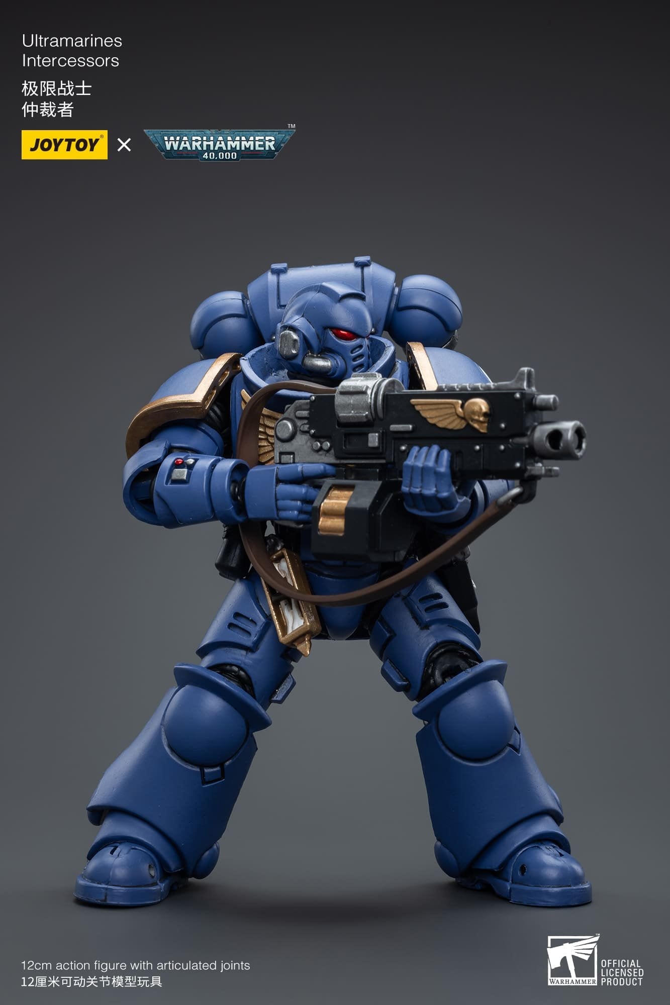 Joytoy: Ultramarines Intercessors