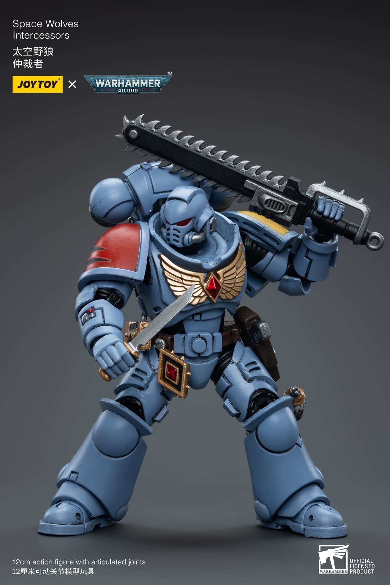 Joytoy: Space Wolves Intercessors