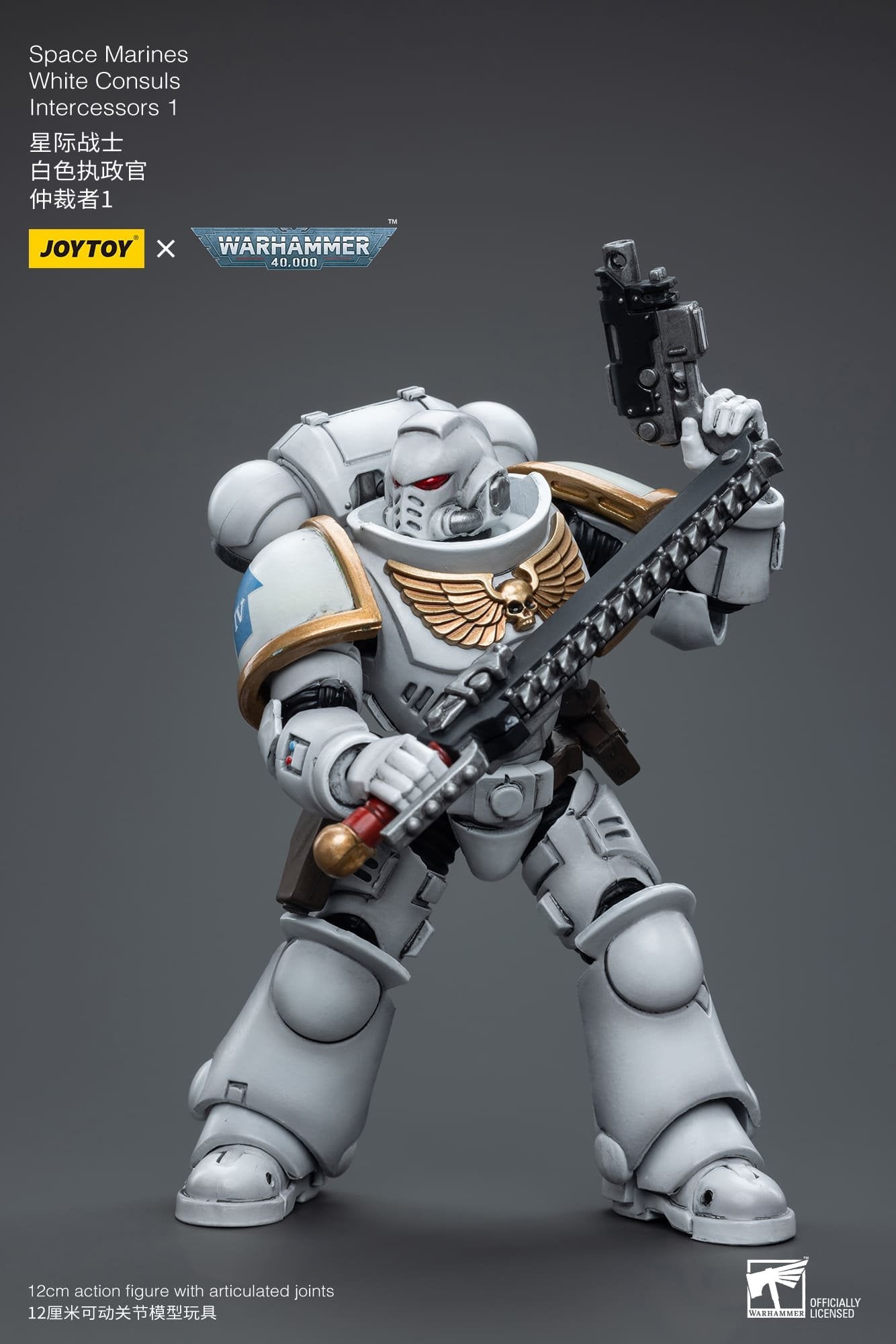 Joytoy: Space Marines White Consuls  Intercessors 1