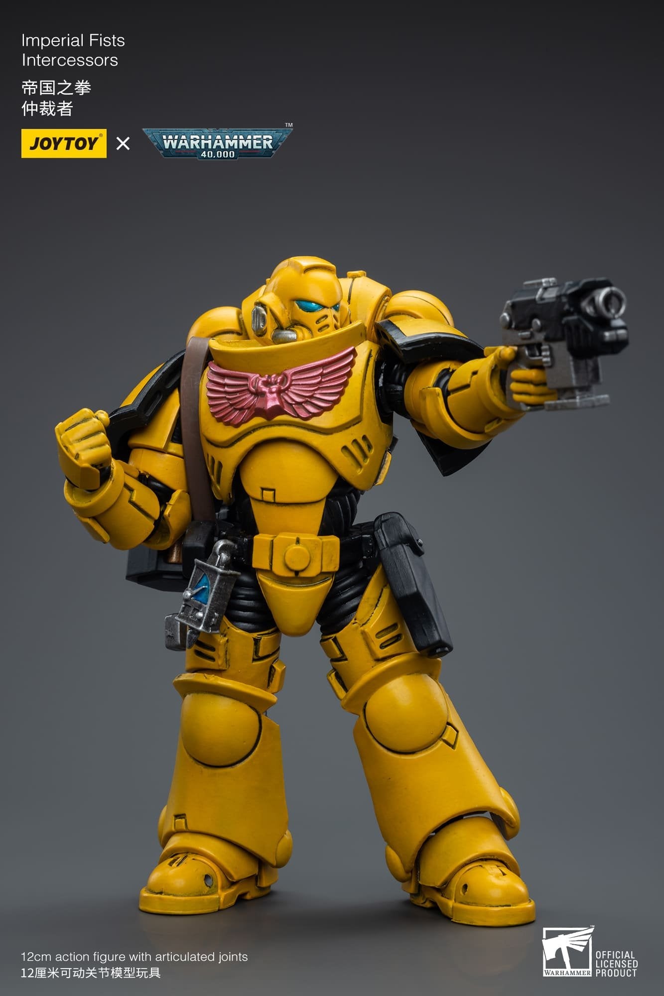 Joytoy: Imperial Fists Intercessors