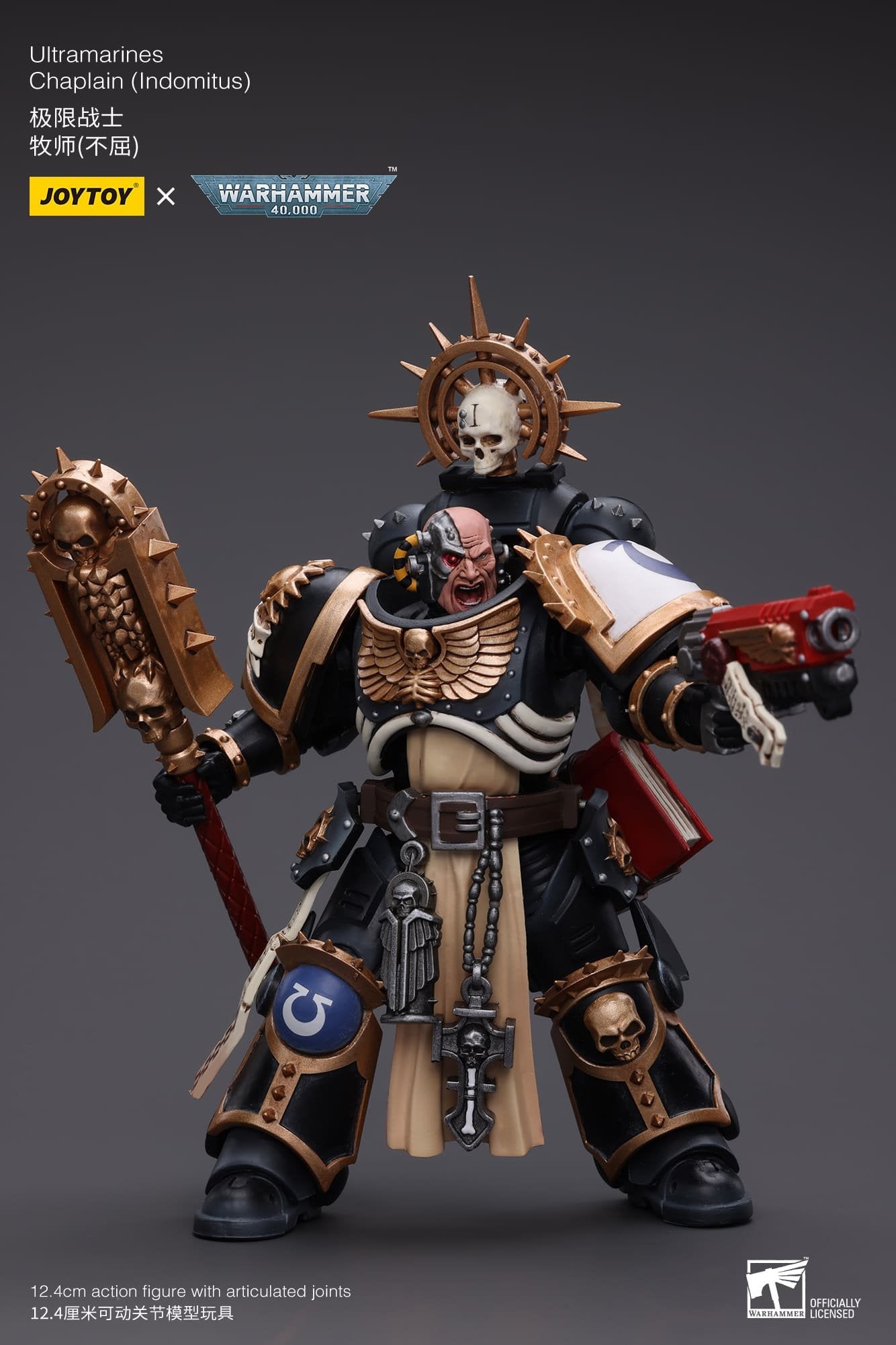 Joytoy:  Ultramarines Chaplain (Indomitus)